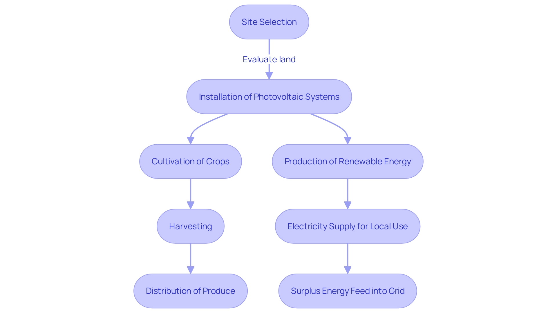 Agrivoltaics Process Flowchart