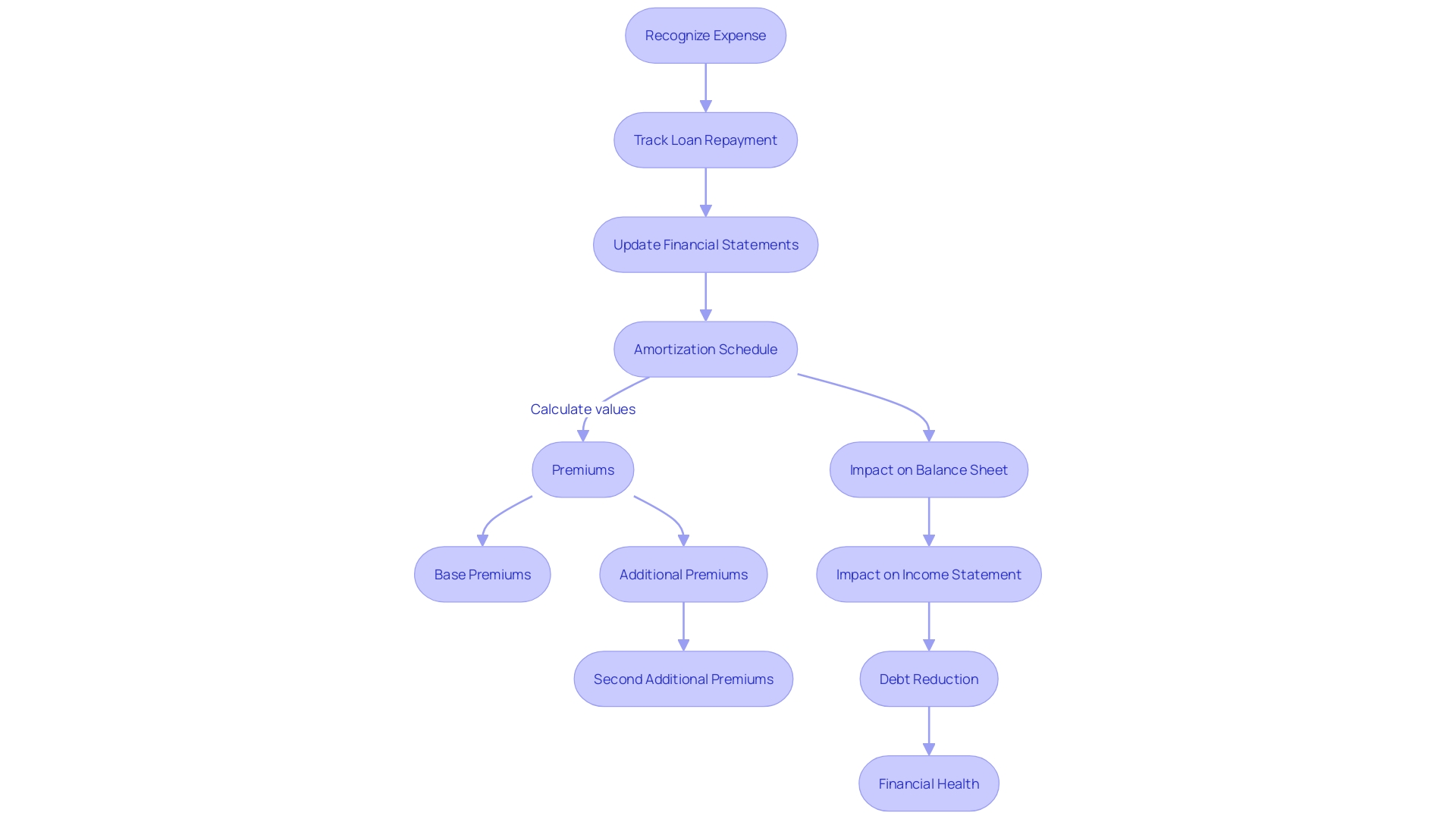 Amortization Process Flowchart