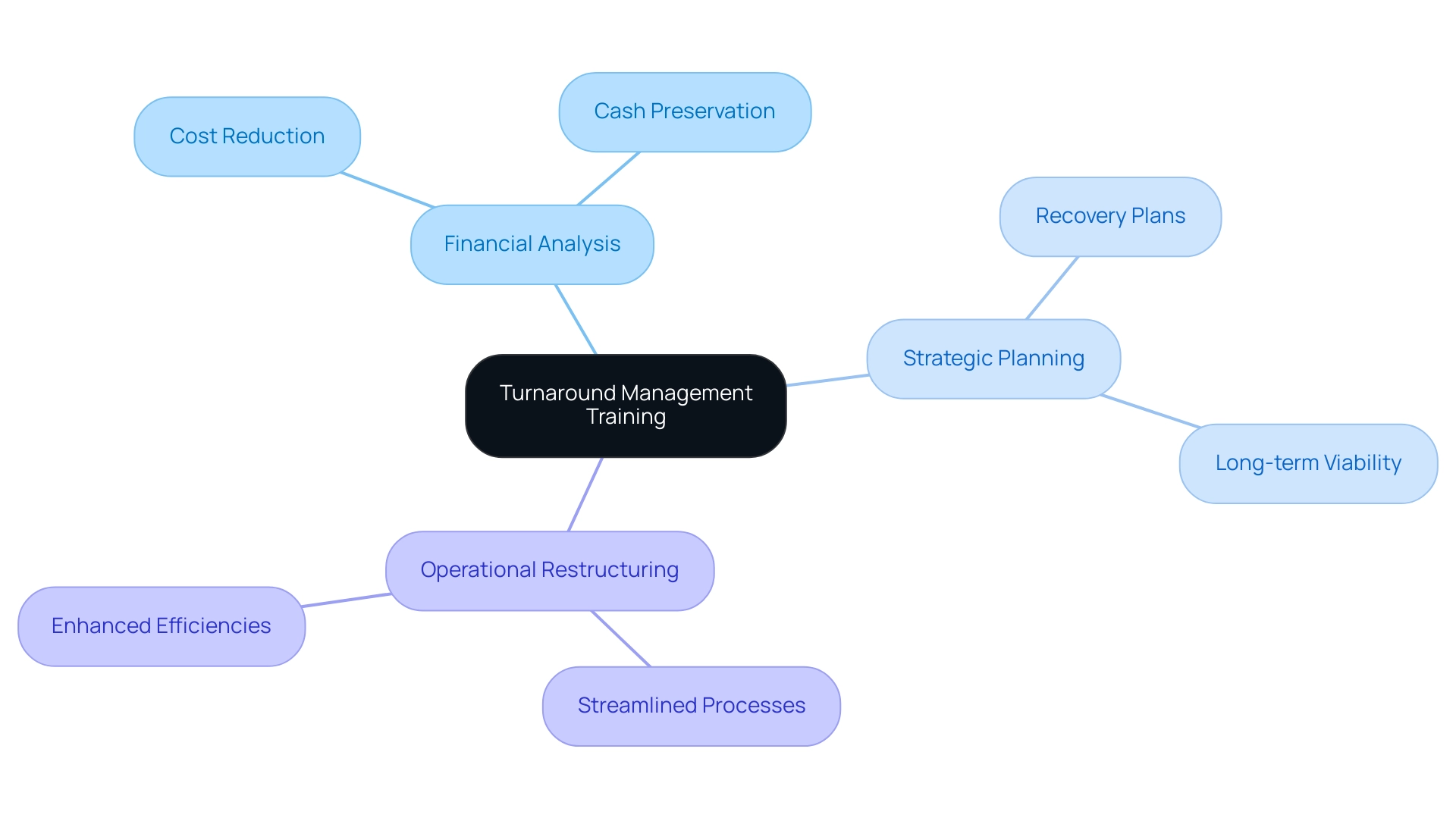 Each branch represents a key component of turnaround management training, with sub-branches detailing specific aspects related to the main categories.