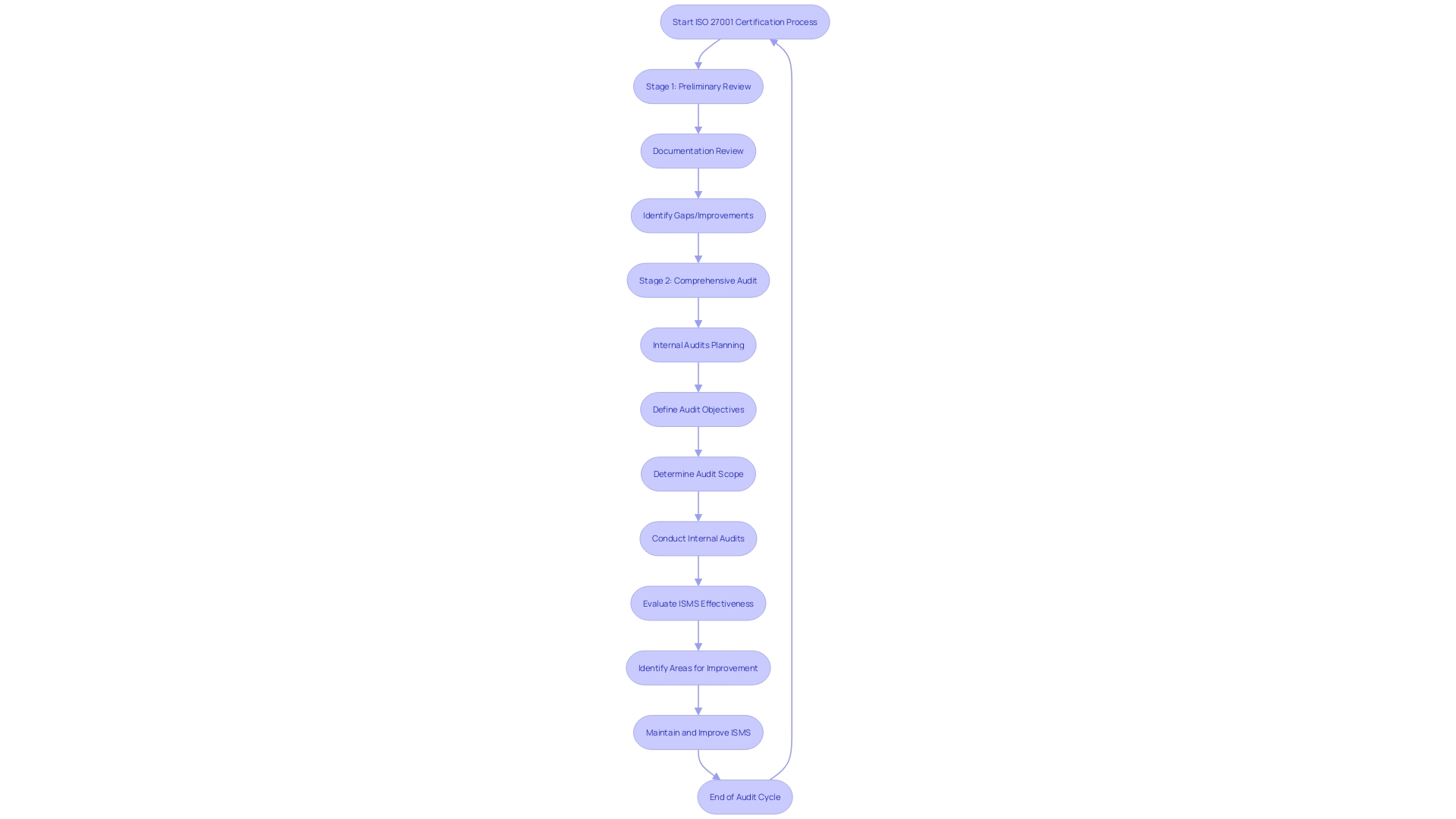 Audit Process Documentation Flowchart