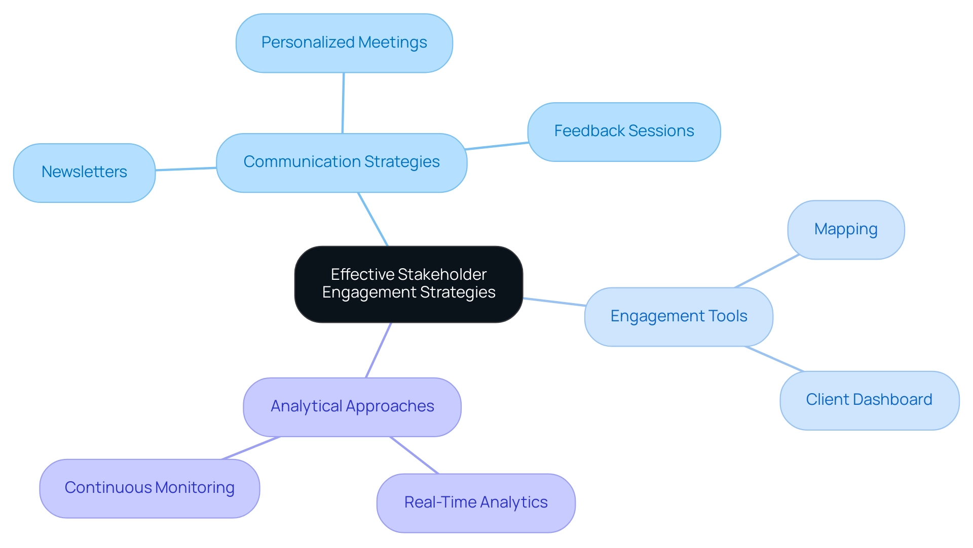 The central node represents the overall goal of stakeholder engagement, with branches illustrating the main strategies and sub-strategies used to achieve engagement and analysis.