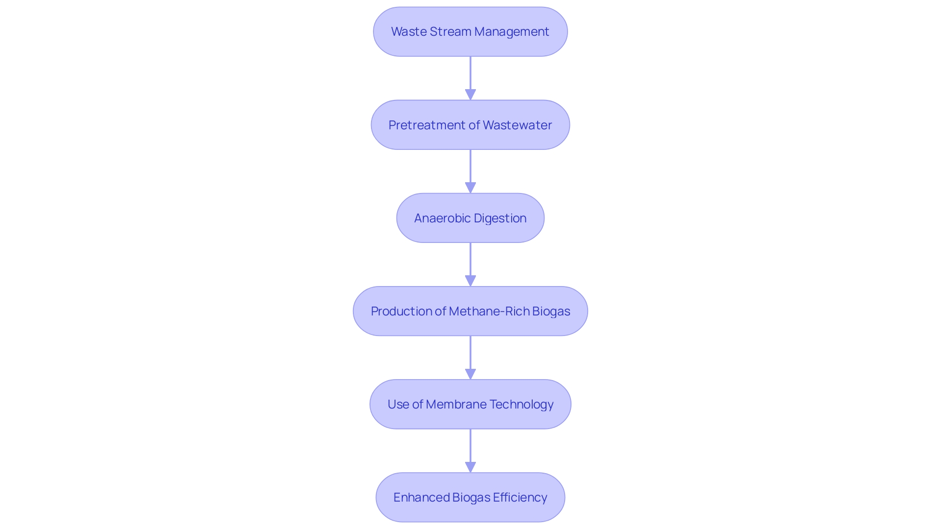 Biogas Production Process