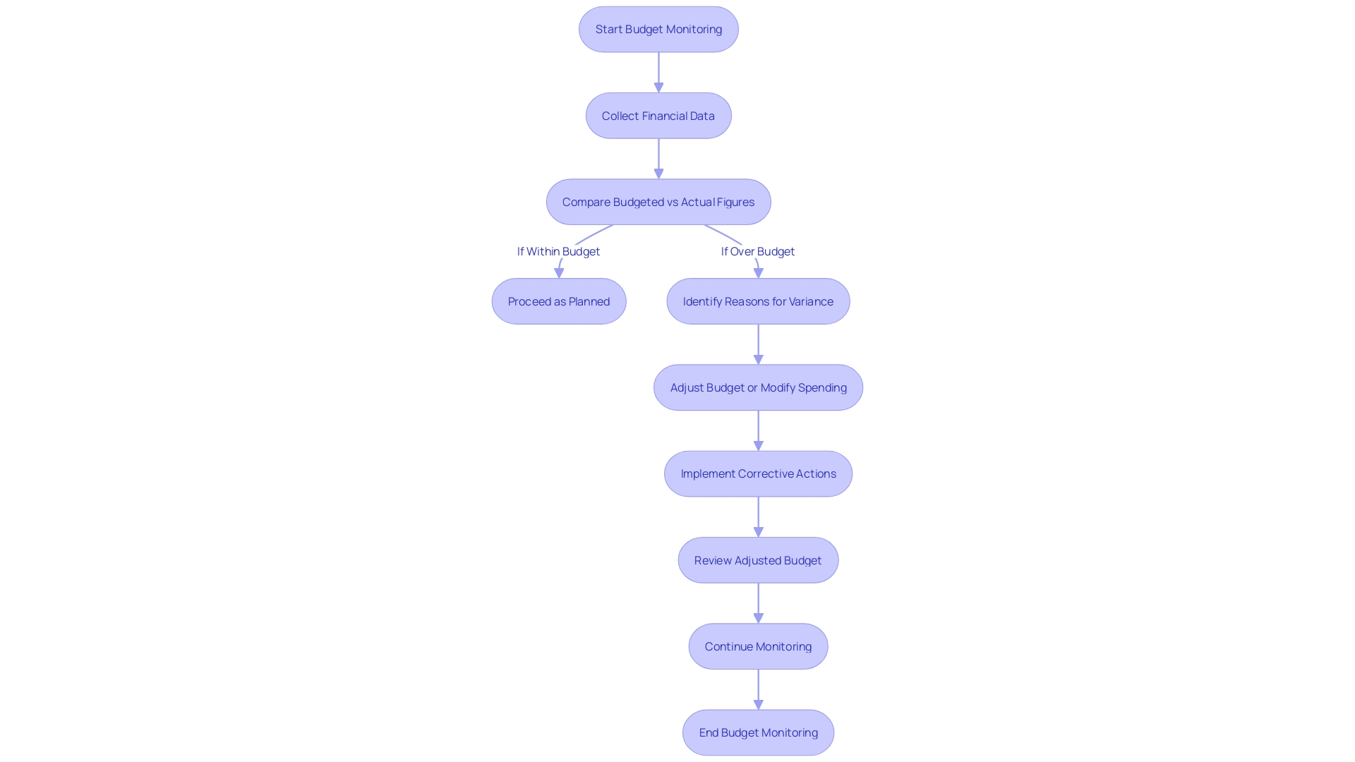 Budget Monitoring Process