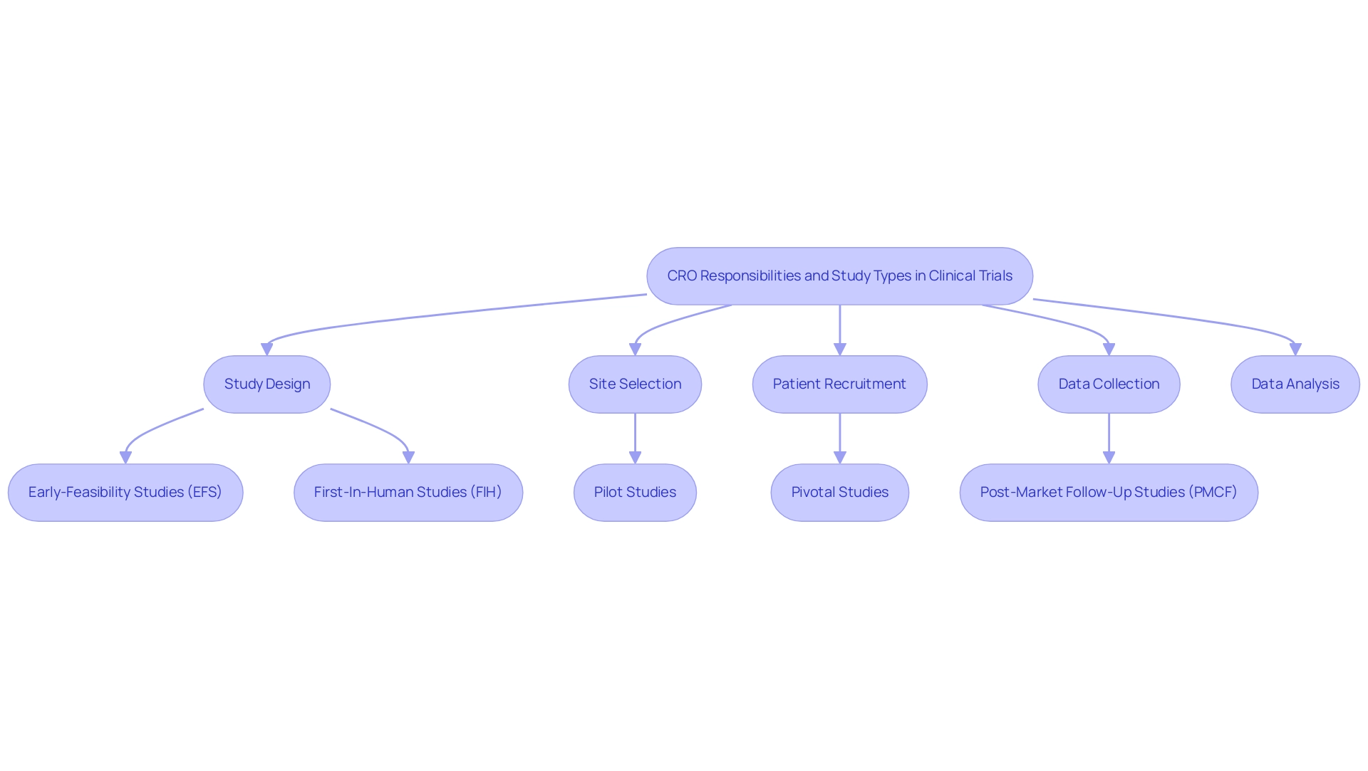 Boxes in blue represent CRO responsibilities; boxes in green represent types of studies managed by CROs.