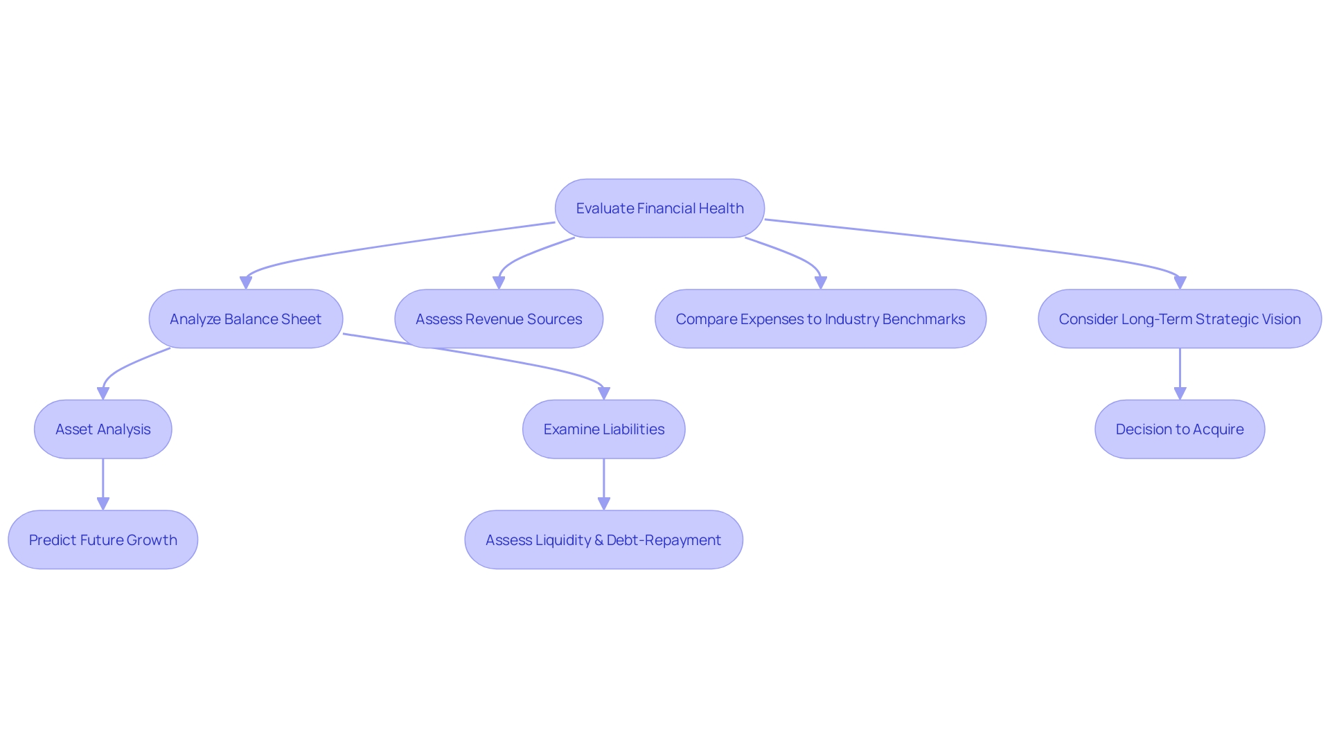 Decision-Making Process for Acquiring a Company