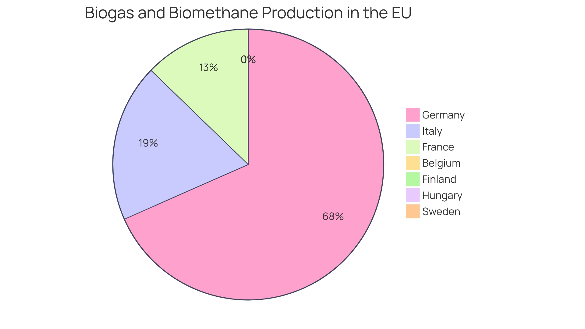 Distribution of Biogas Production in Europe