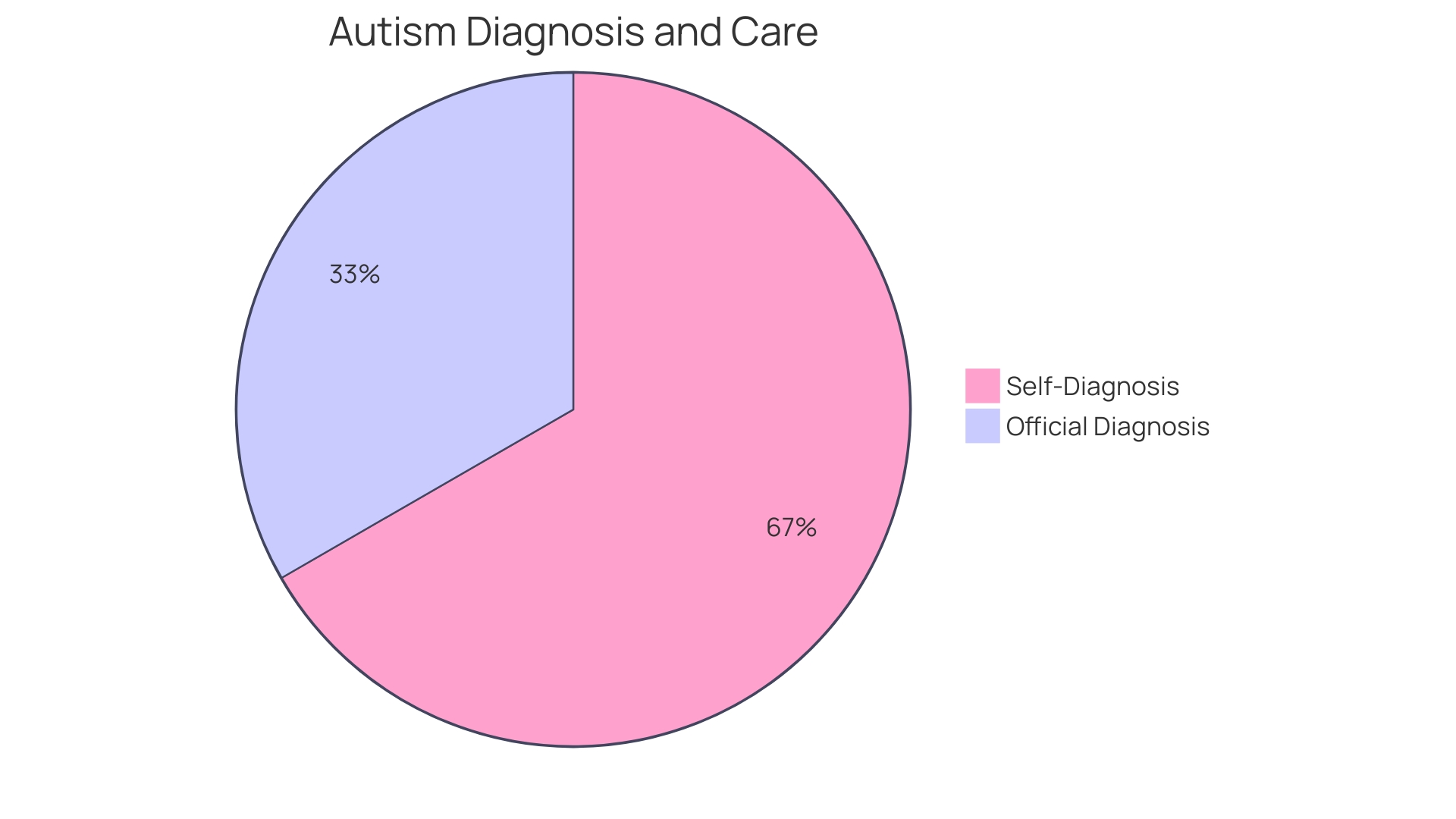 Distribution of Challenges in Diagnosing Autism in Adults