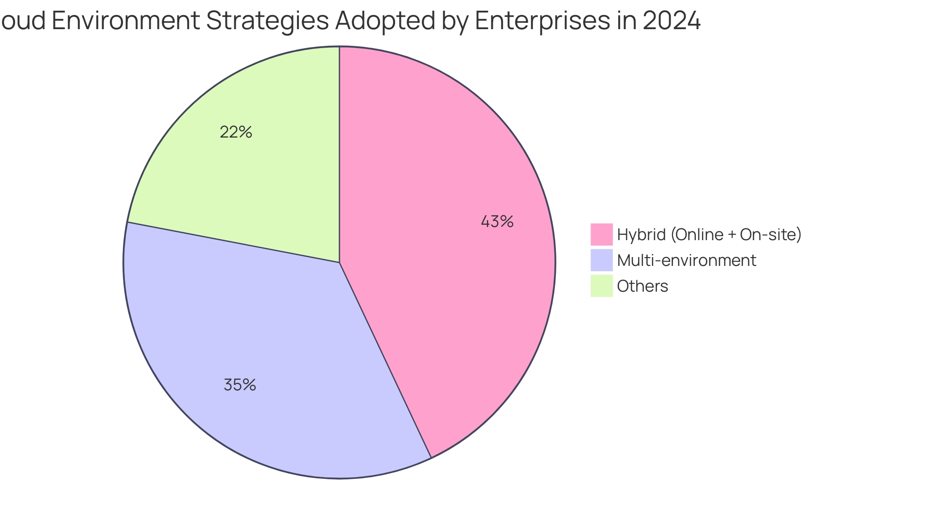 Distribution of Cloud Environment Strategies Adopted by Enterprises in 2024