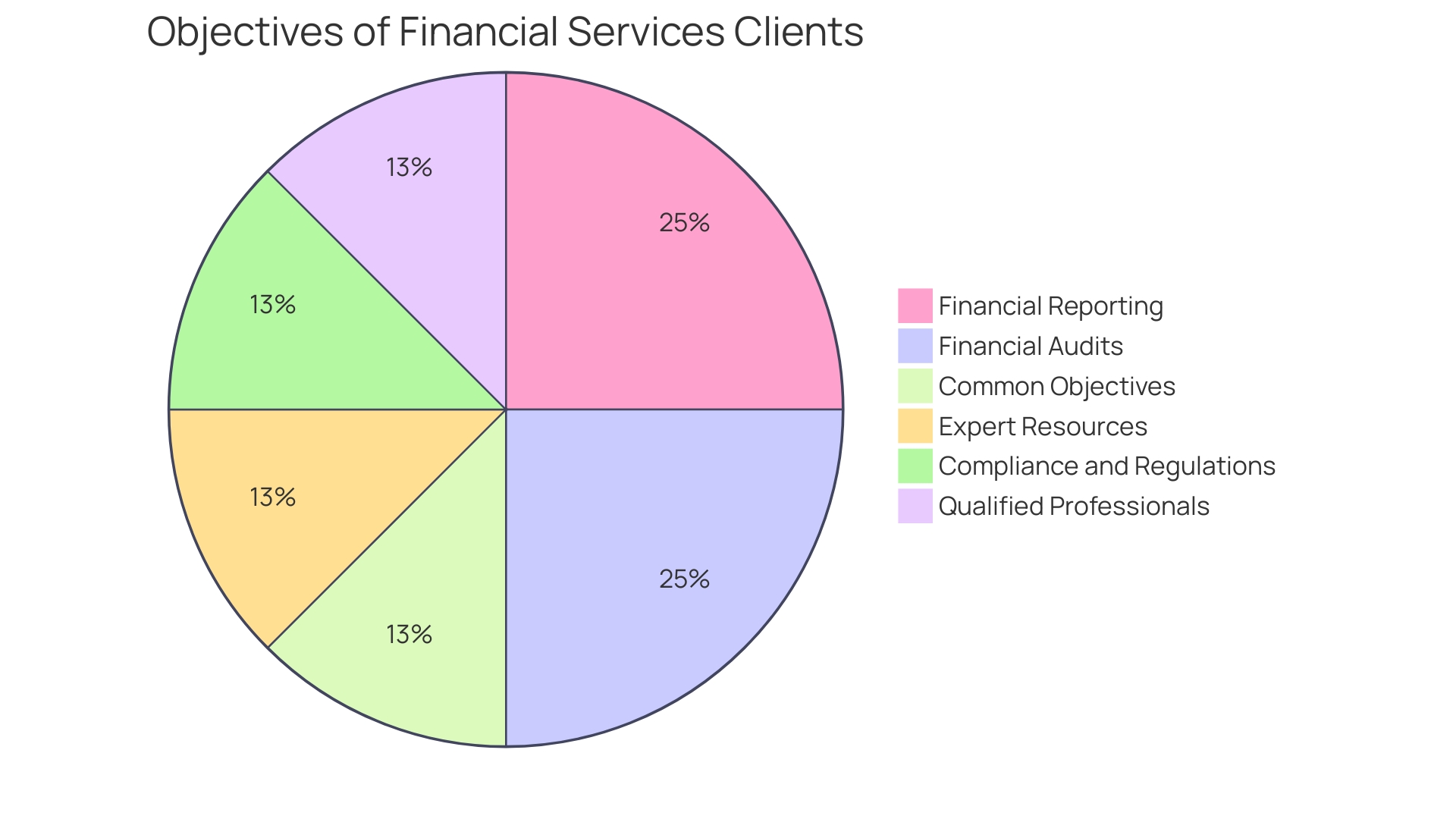 Distribution of Financial Audit Focus Areas