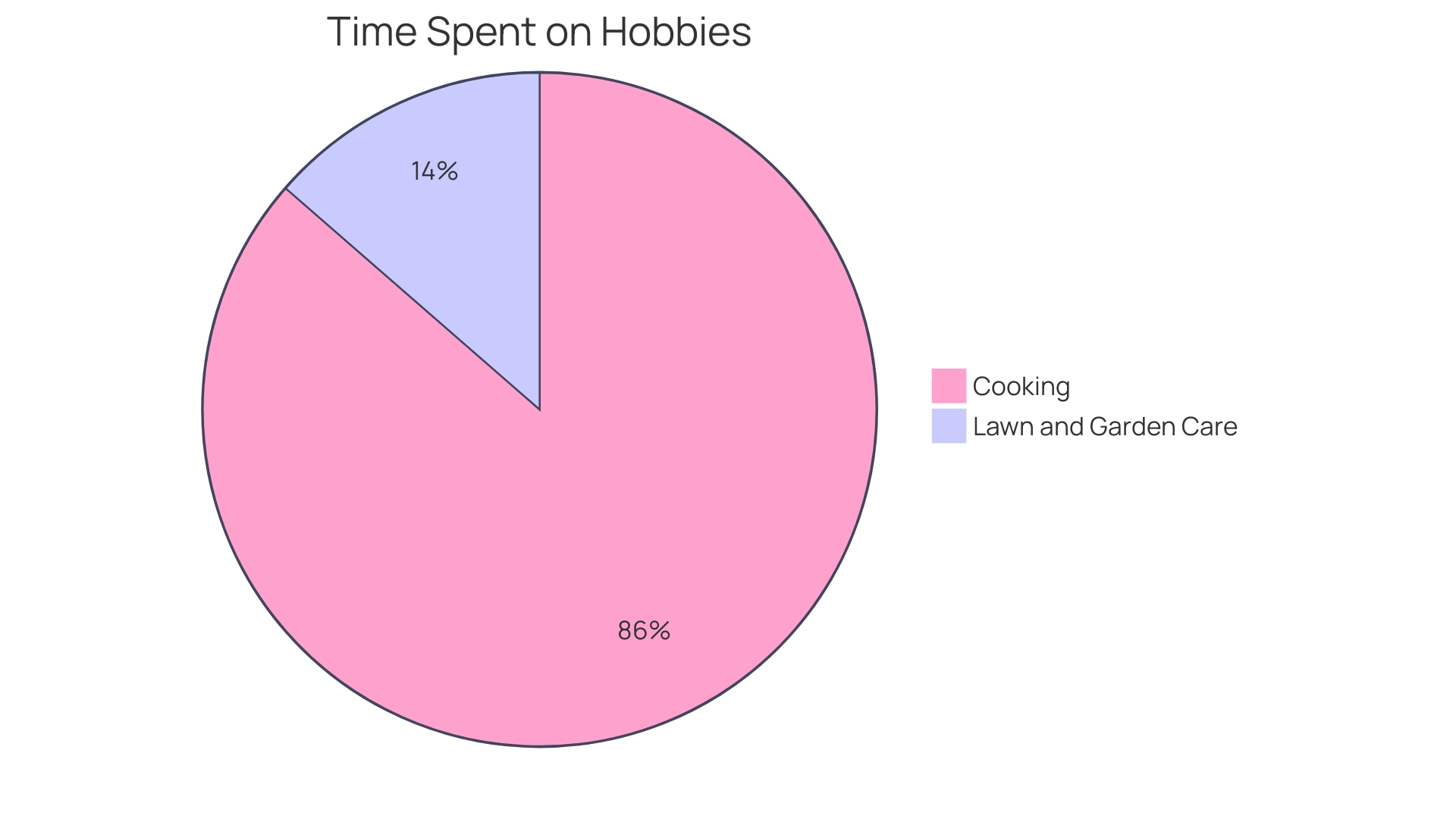 Distribution of Hobbies and Interests