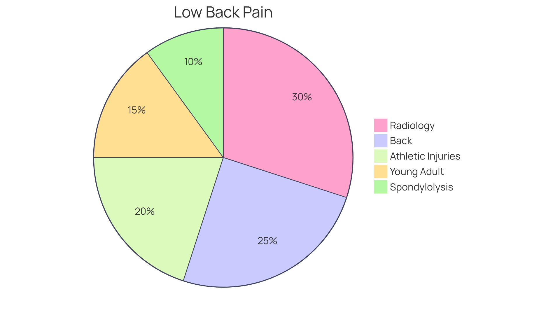 Distribution of Lower Back Pain Causes