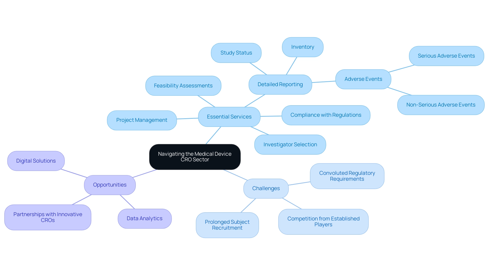 Central node represents the overall sector; branches represent services, challenges, and opportunities, color-coded for clarity.