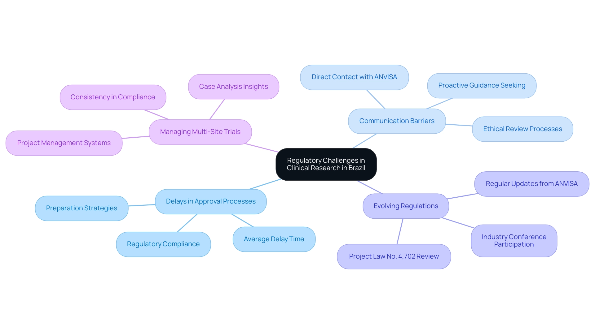 Each branch represents a specific regulatory challenge, with sub-branches detailing related strategies and implications.