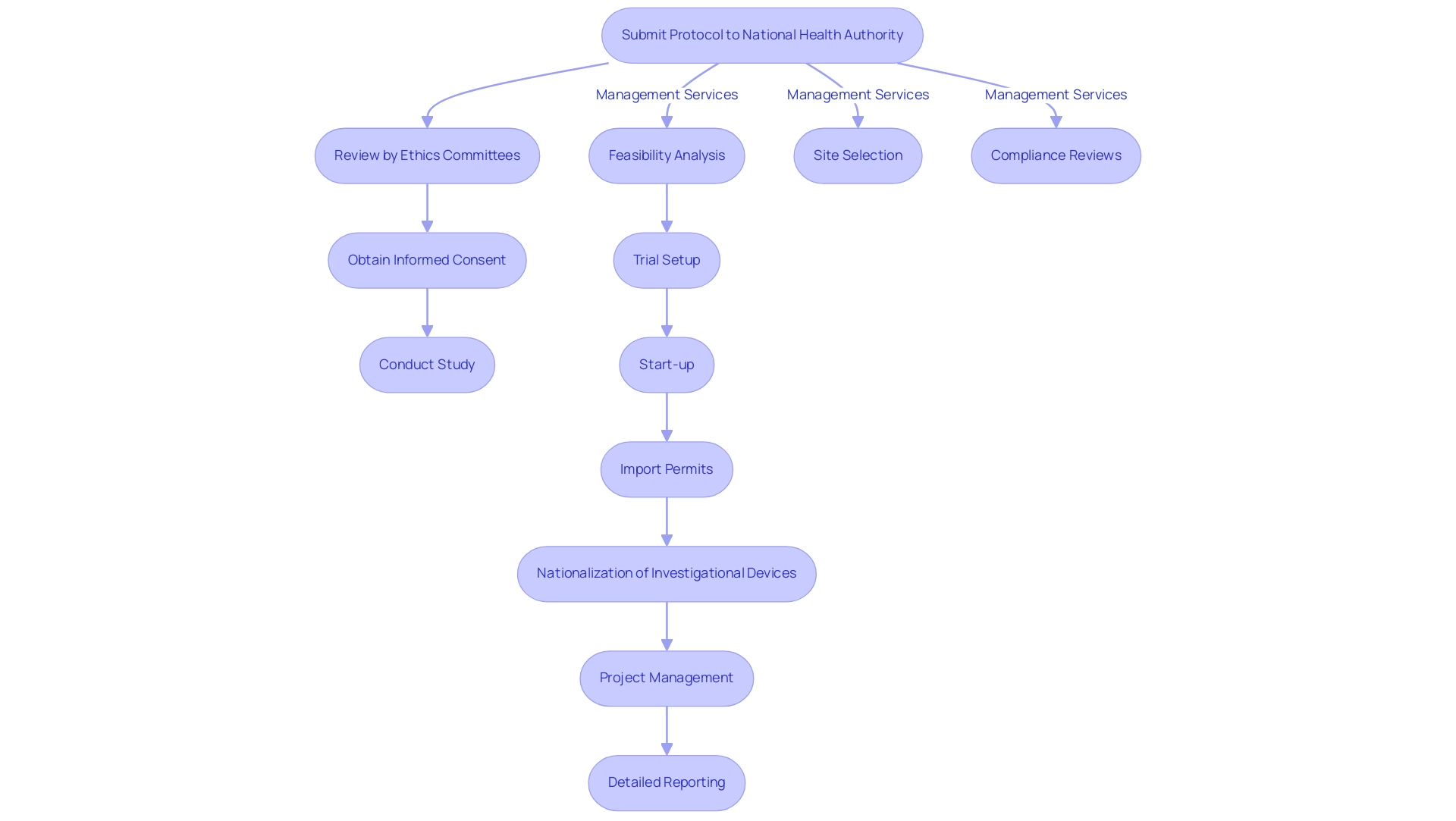 Each box represents a step in the clinical trial process, with arrows indicating the progression from one step to the next. Color coding differentiates between main steps and sub-steps.