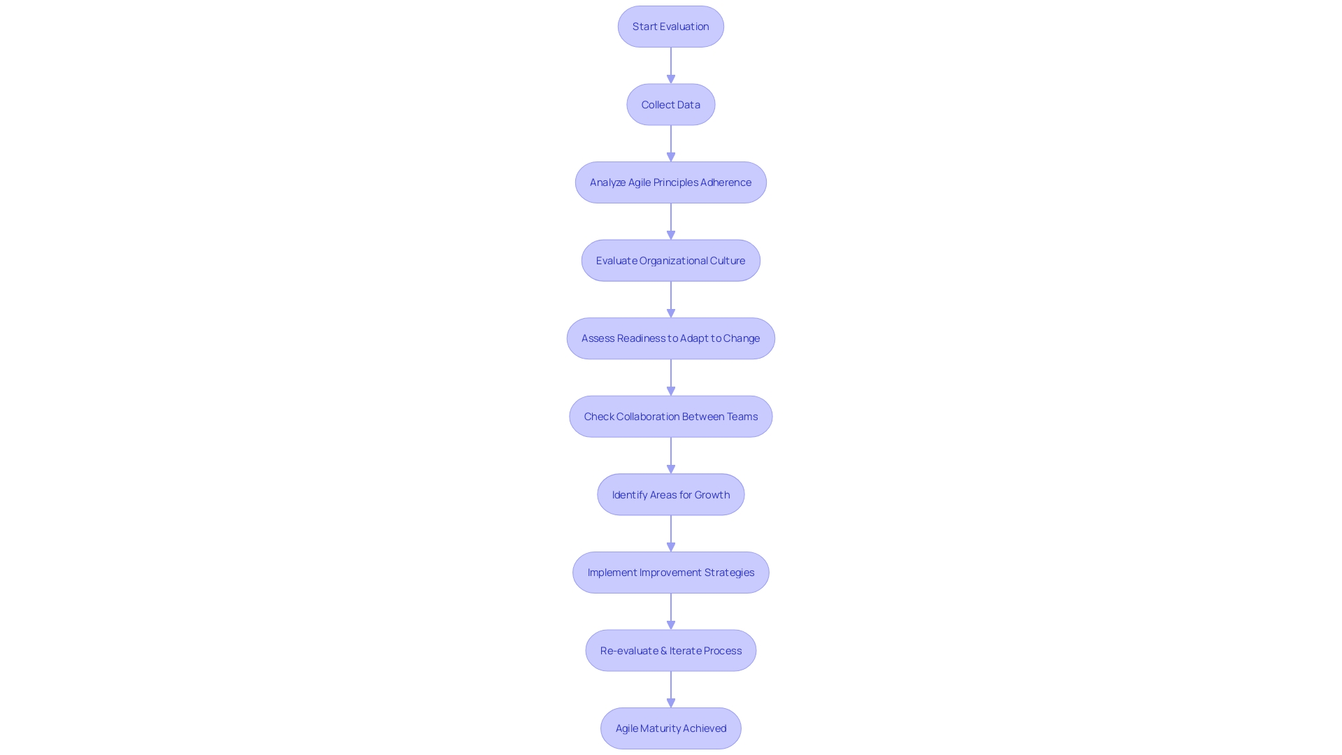 Evaluation Process for Agile Development Maturity