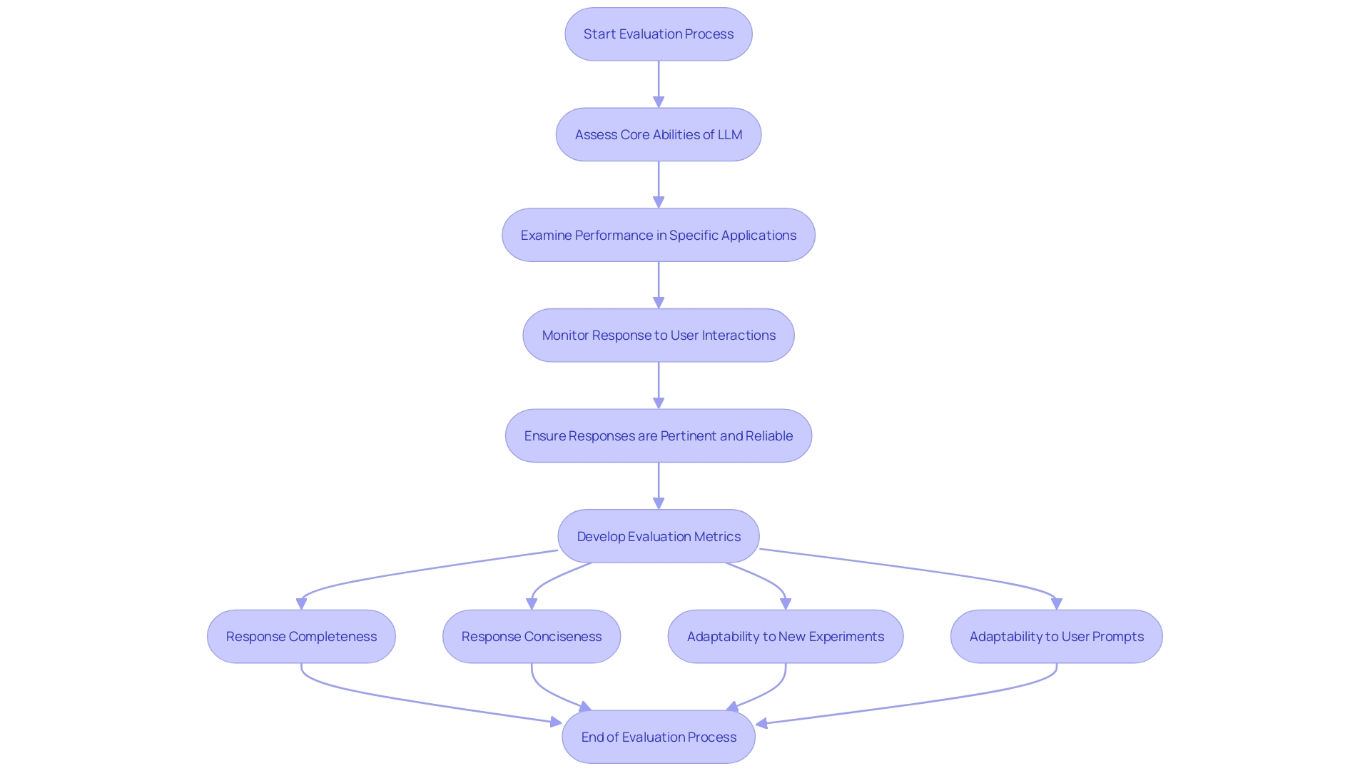 Evaluation Process for Large Language Models