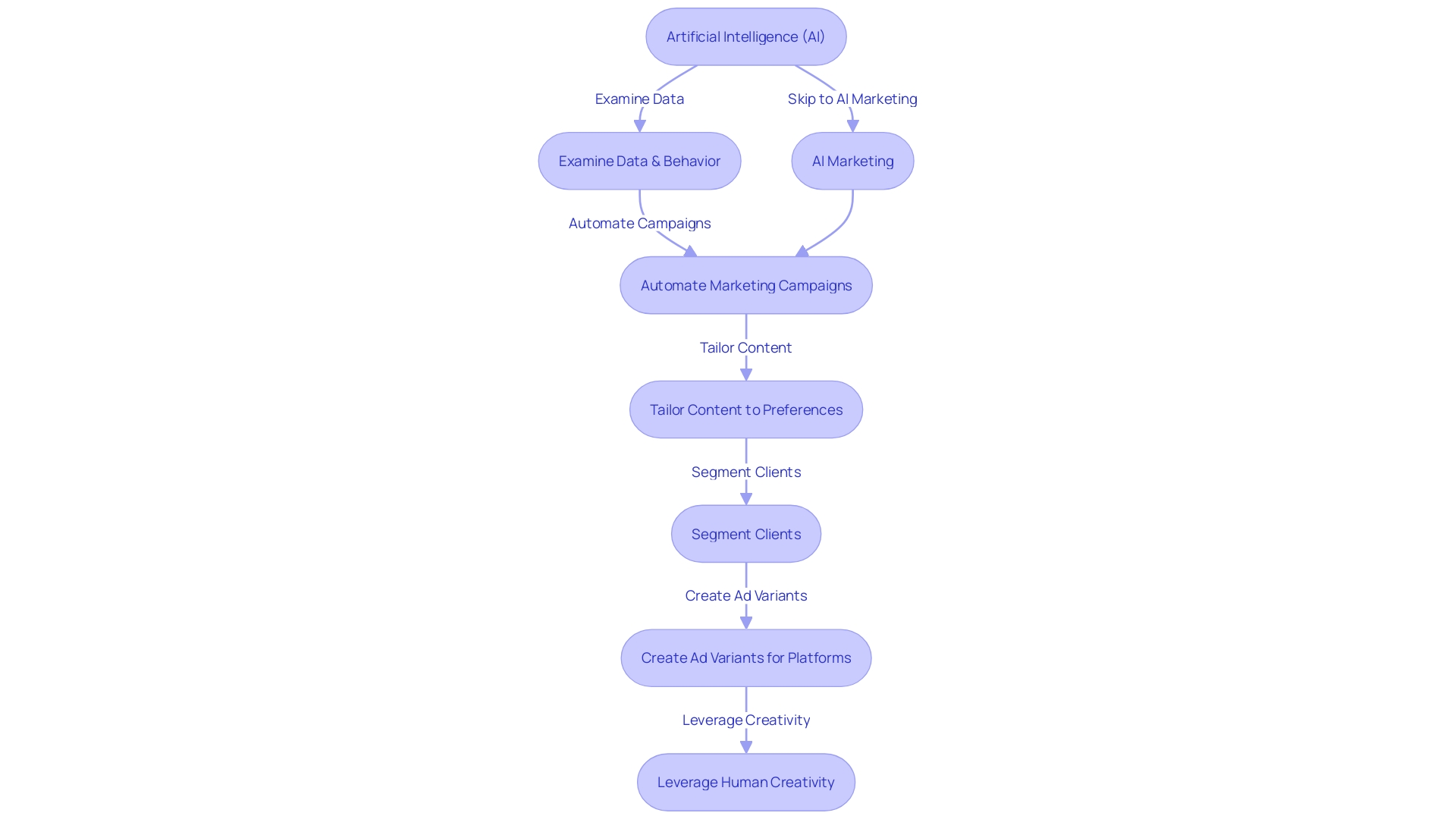 Expert Advice: Flowchart for AI-driven Marketing Campaign