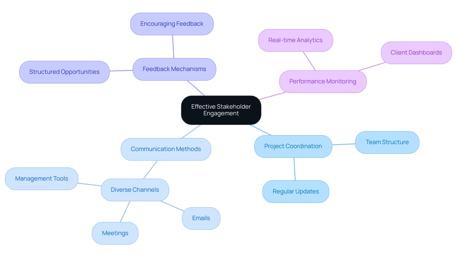 The central node represents stakeholder engagement, with branches indicating key practices such as project coordination, communication methods, feedback mechanisms, and performance monitoring.