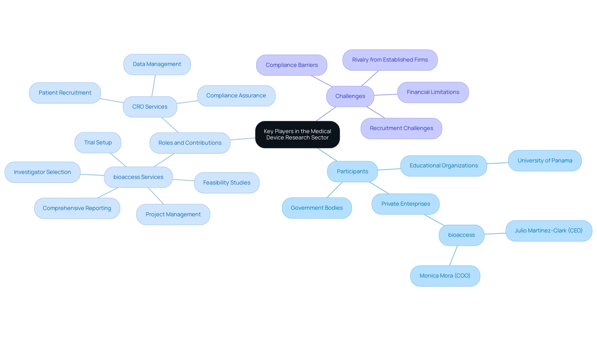 The central node represents the overall sector, with branches showing participants, their roles, and the challenges faced by healthcare startups.