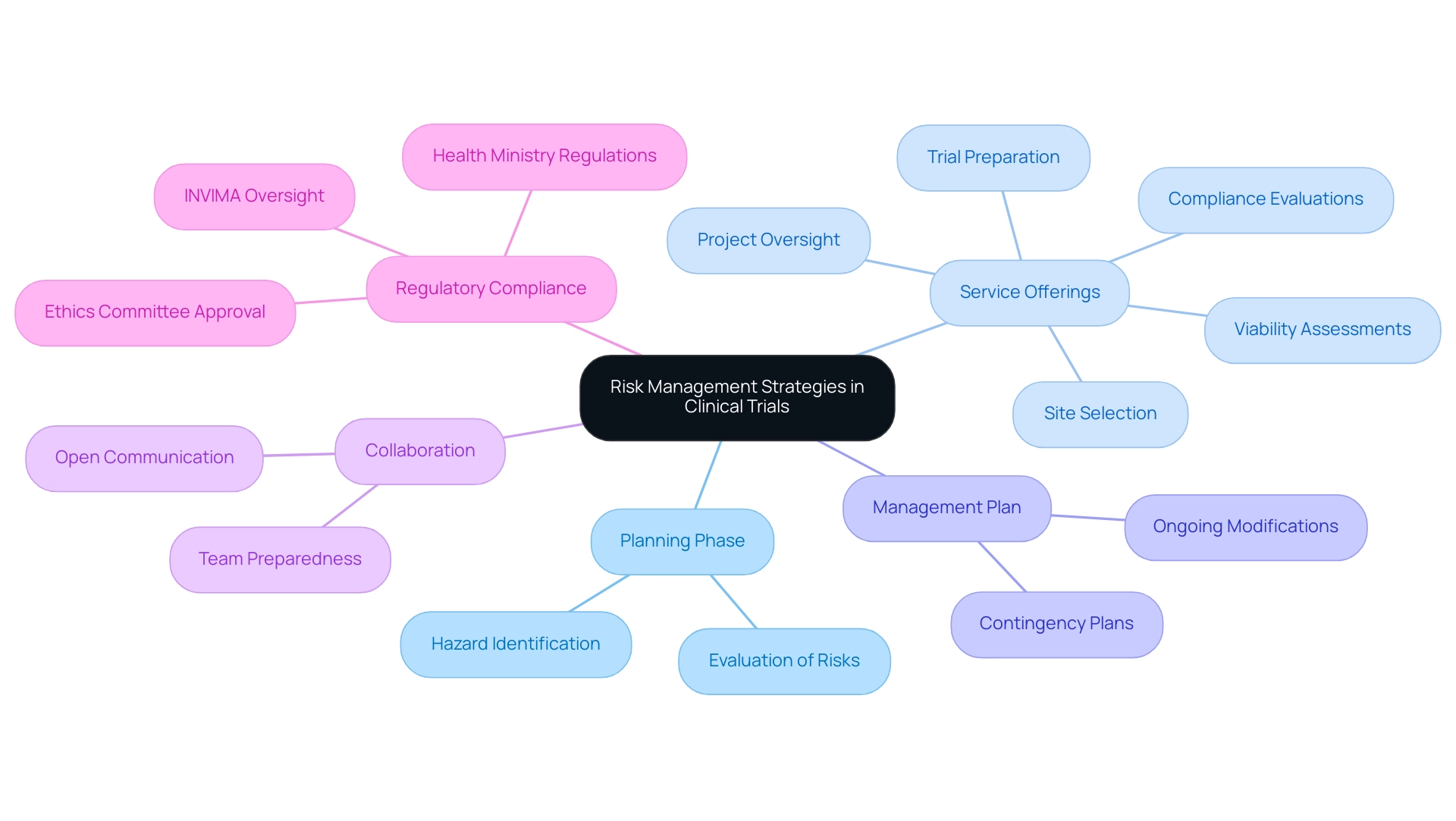 Each main branch represents a key area of risk management, with sub-branches detailing specific strategies and services related to that area.