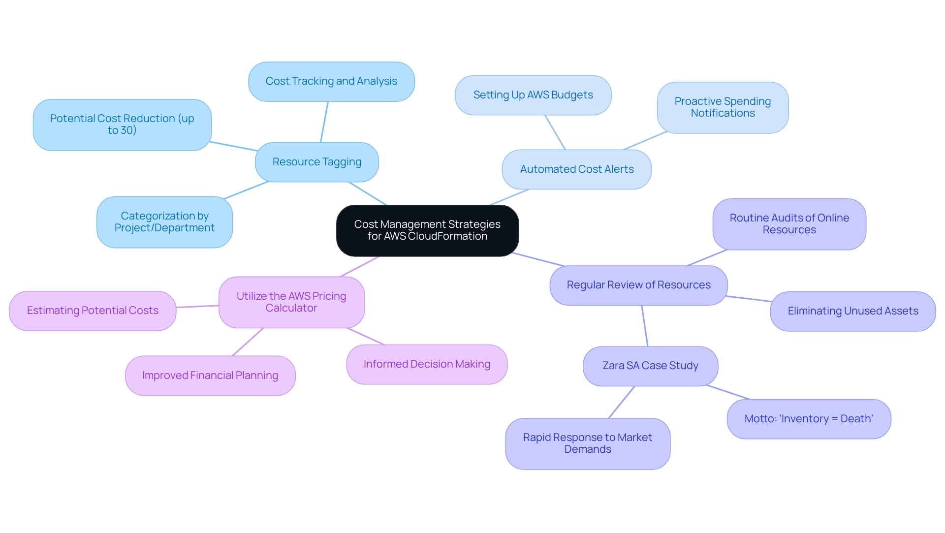 Central node represents the overall theme, with branches illustrating individual strategies for cost management.