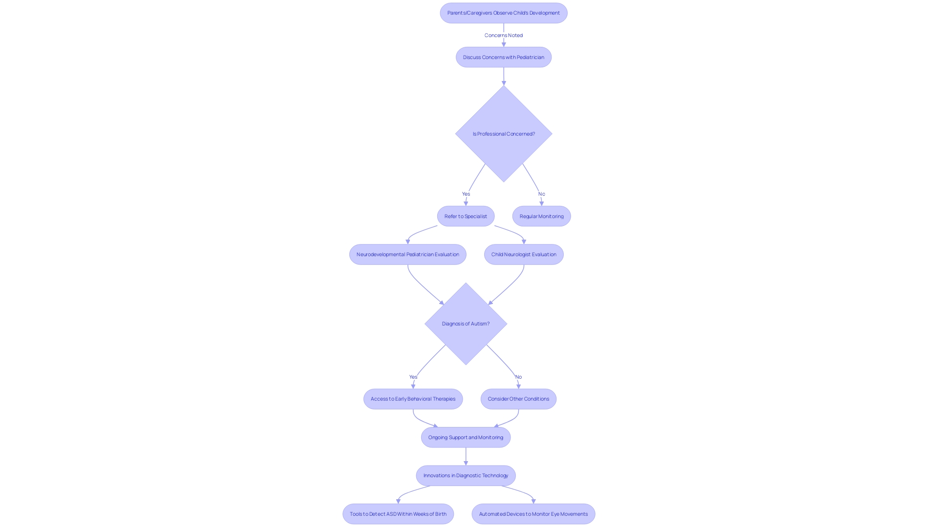 Flowchart: Autism Screening and Diagnosis Process