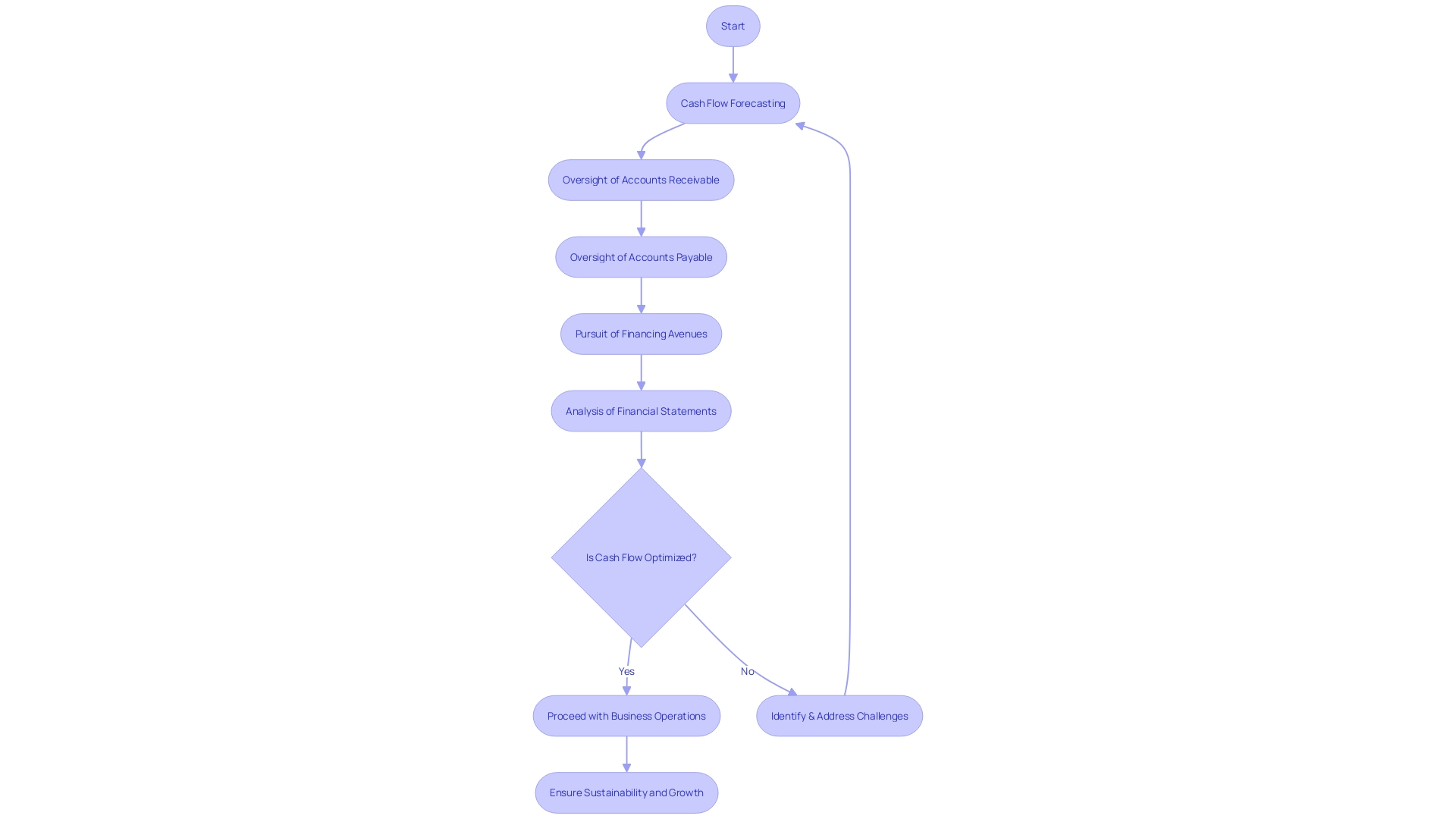 Flowchart: Capital and Cash Flow Management Process