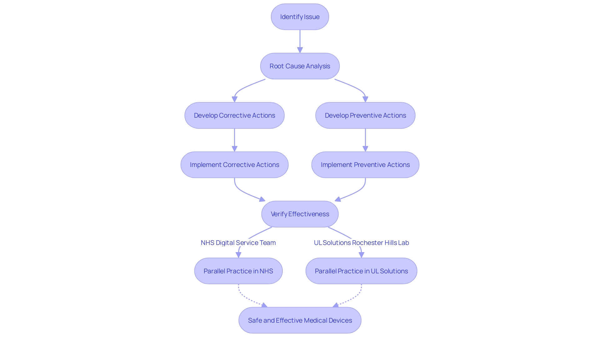 Flowchart: Corrective and Preventive Action (CAPA) Process in the Medical Device Arena