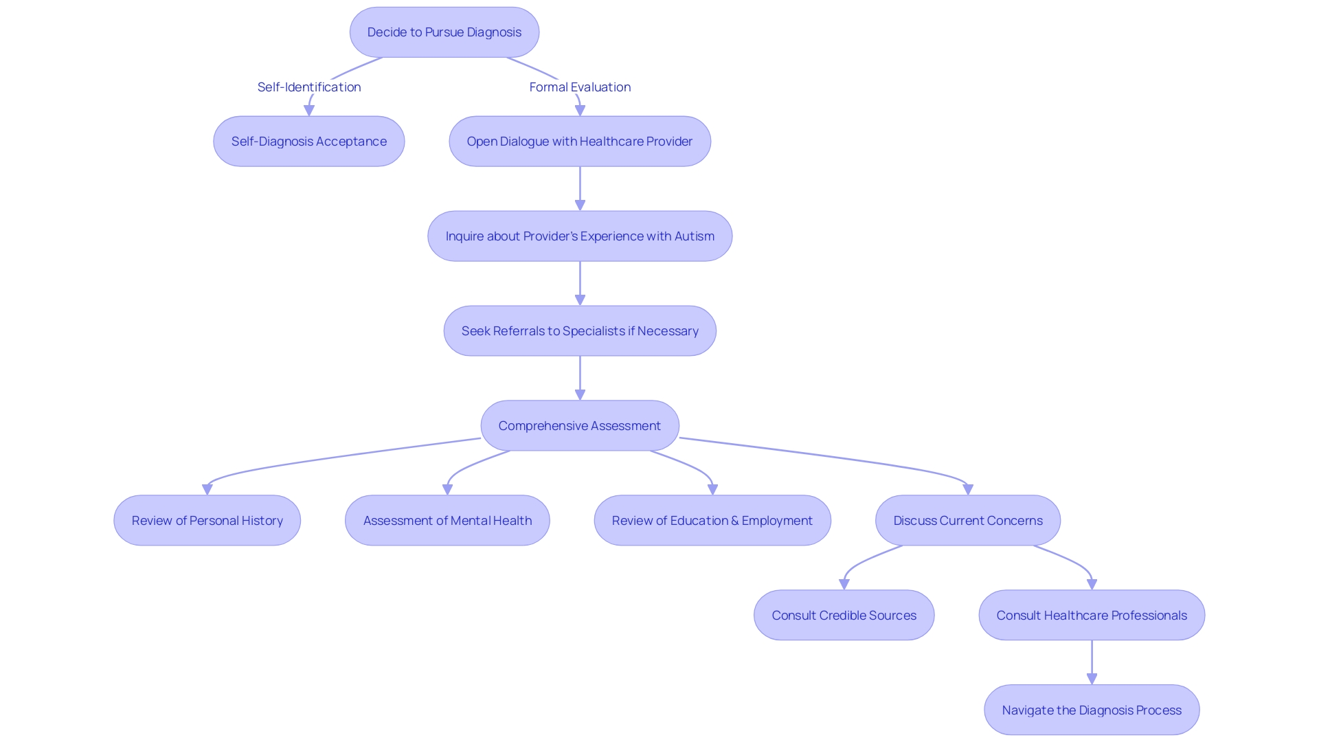 Flowchart: Diagnosing Autism in Adults