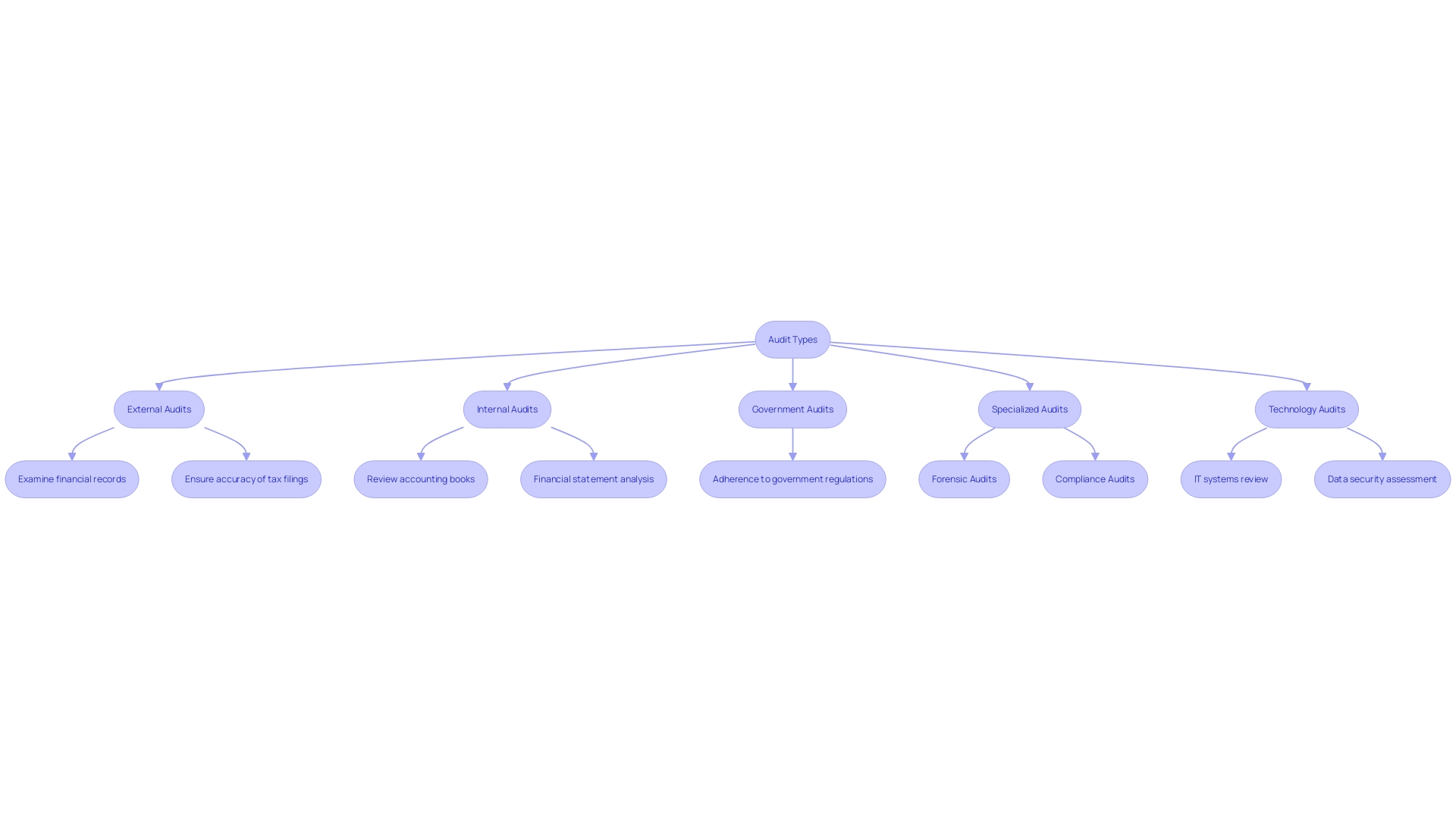 Flowchart: Different Types of Audits