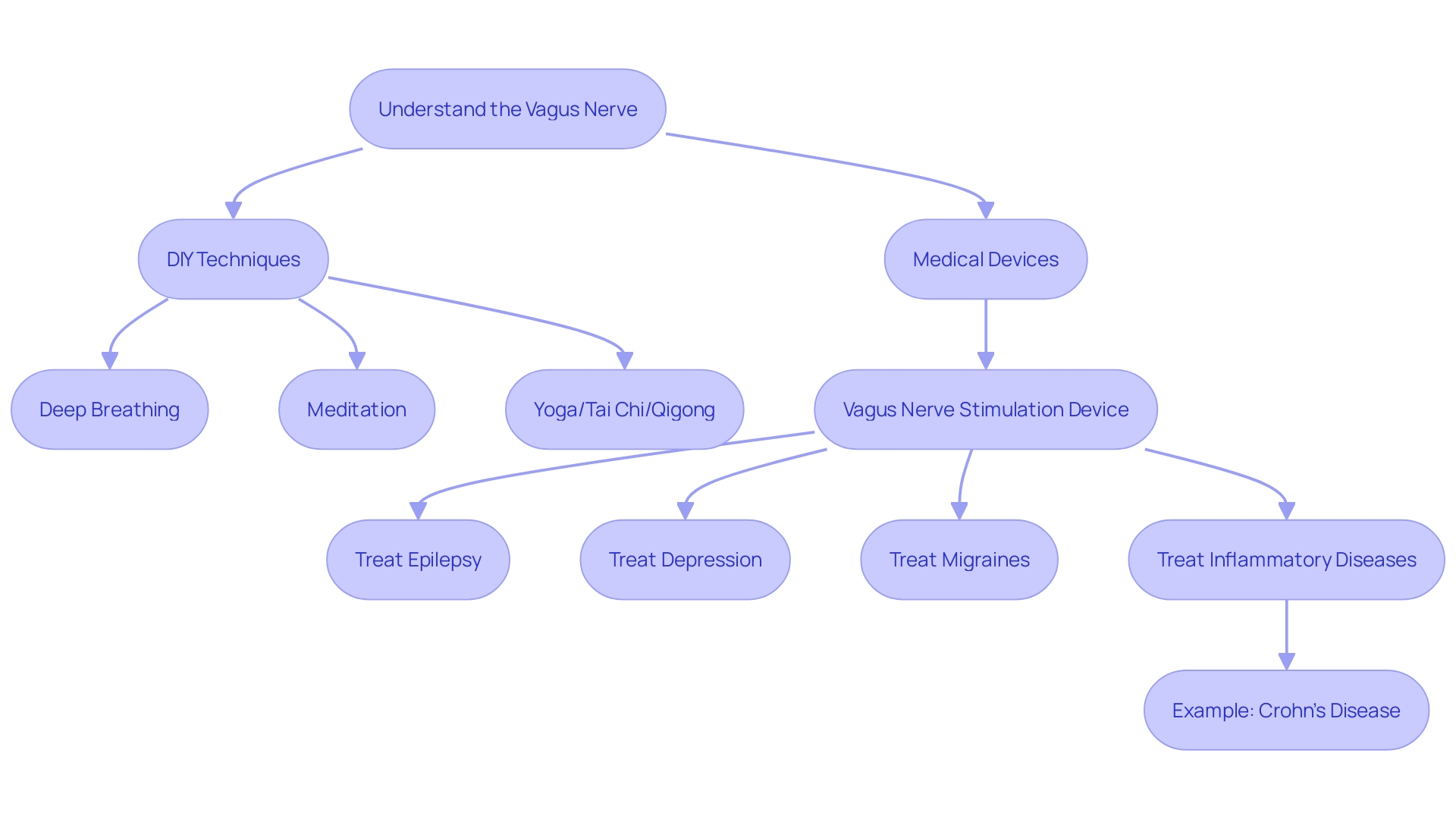 Flowchart: Harnessing the Power of the Vagus Nerve