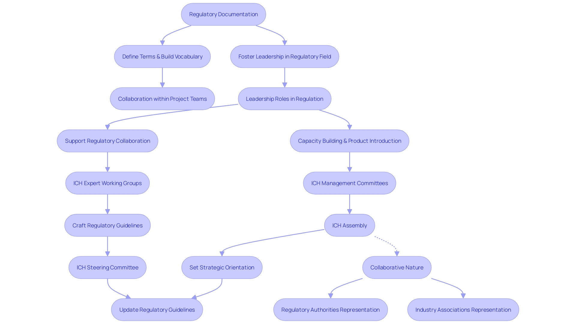 Flowchart: ICH Governance Structure