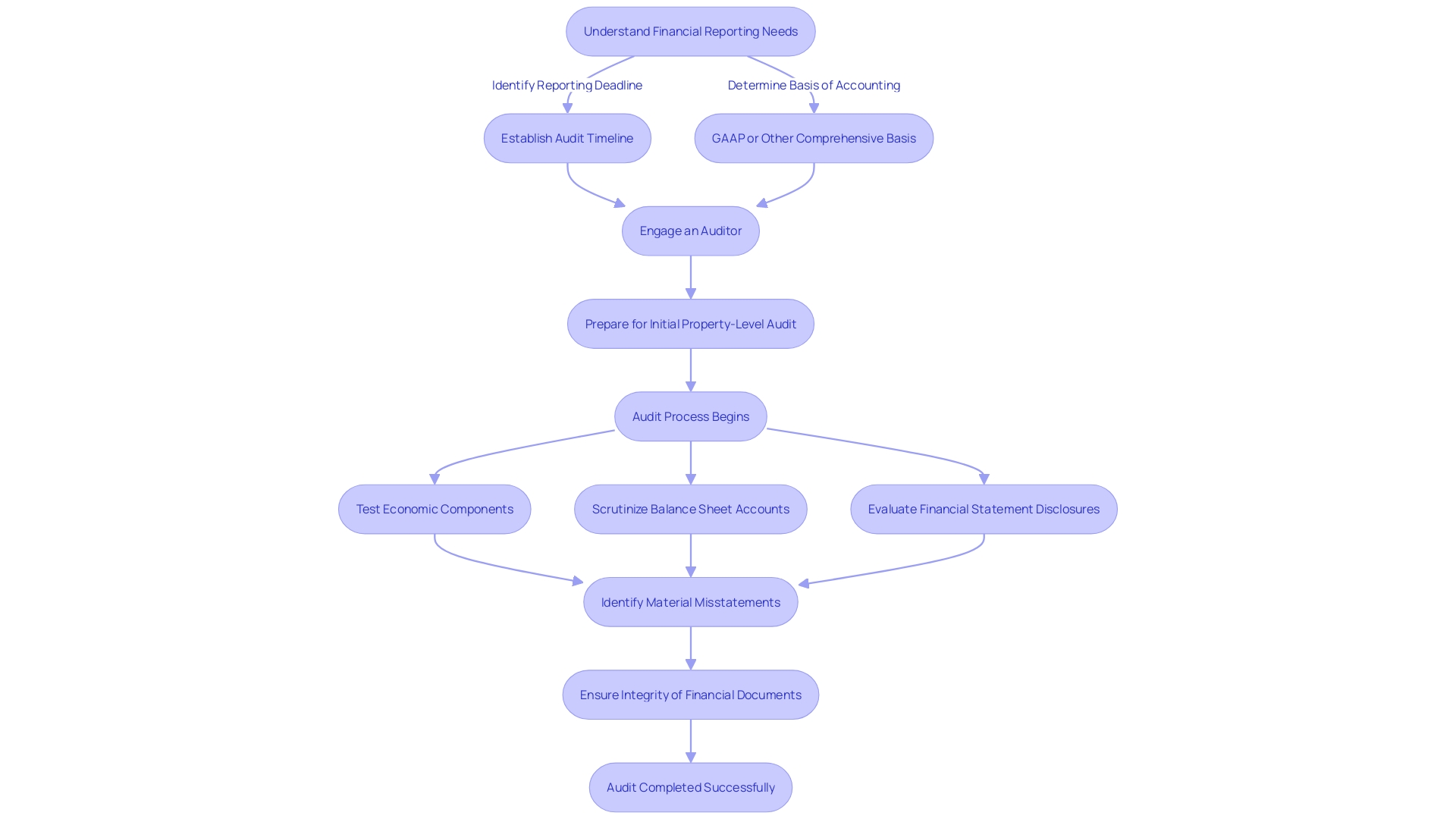 Flowchart illustrating the audit process