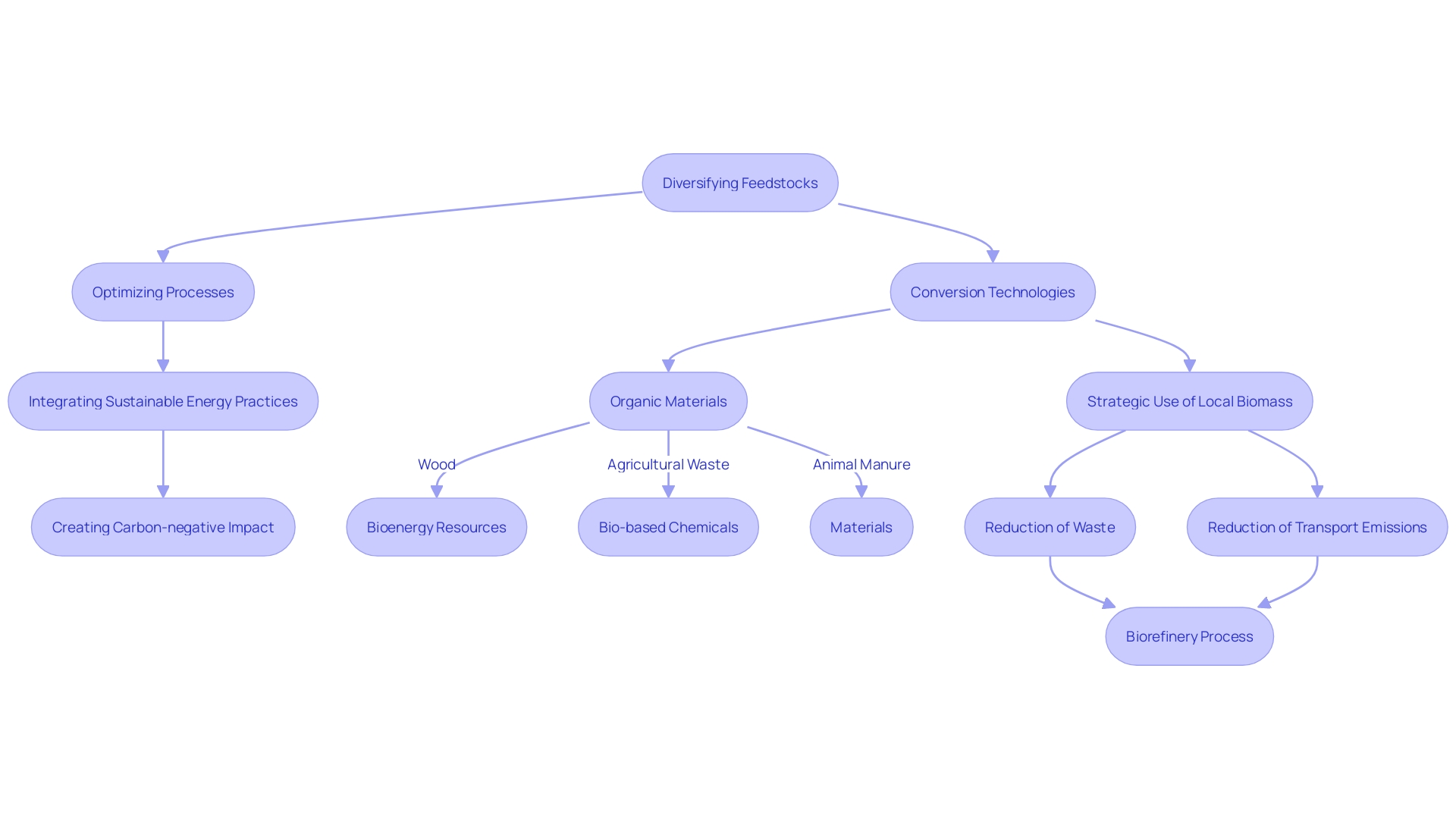 Flowchart illustrating the biomass conversion process