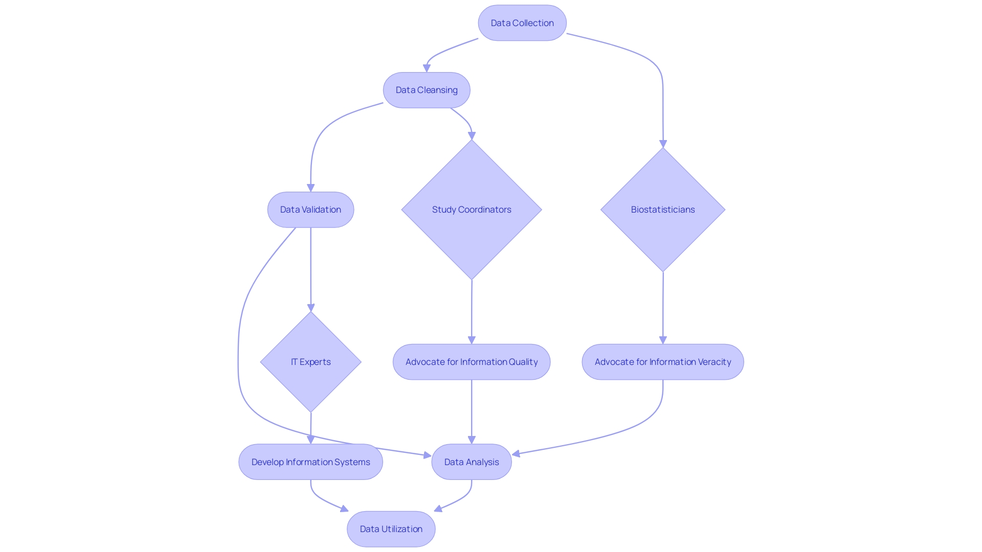 Flowchart illustrating the clinical information management process