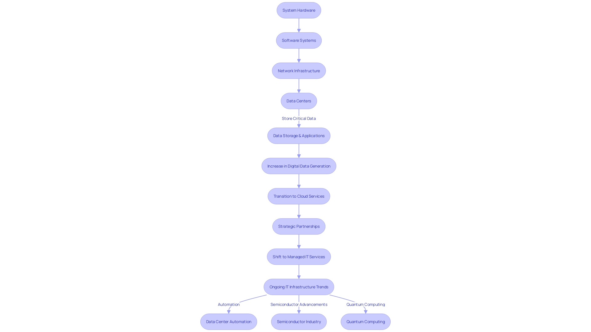 Flowchart illustrating the components and flow of a comprehensive IT infrastructure