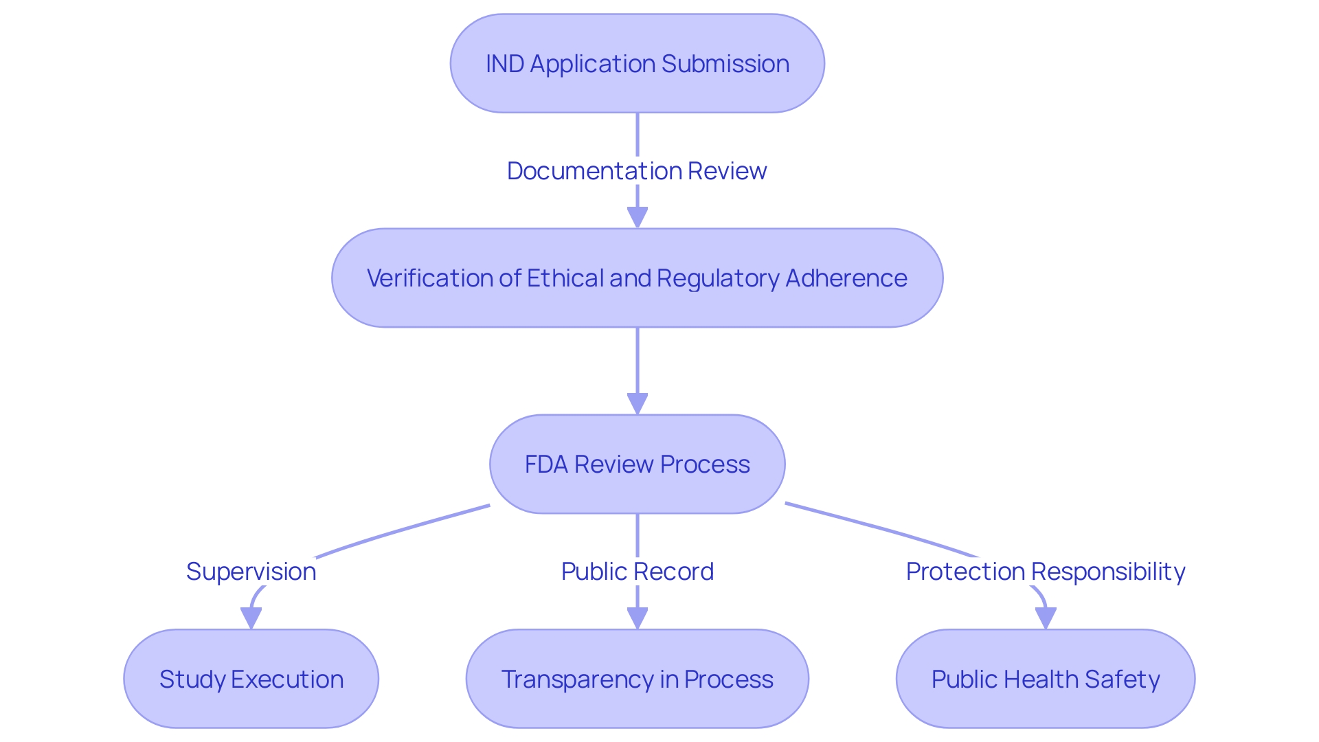 Flowchart illustrating the FDA's review process for Investigational New Drug (IND) applications. The flowchart visually represents the sequential steps involved in the review process, including the initial submission, documentation review, verification of ethical and regulatory adherence, and supervision of the study execution. It highlights the importance of transparency, the role of public record, and the FDA's broader responsibility in protecting public health.