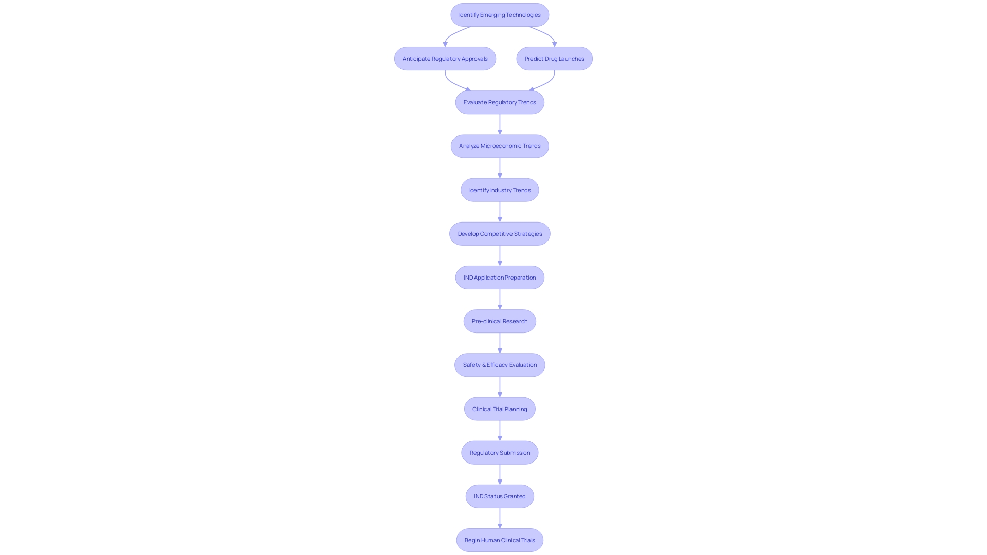 Flowchart illustrating the Investigational New Drug (IND) application process