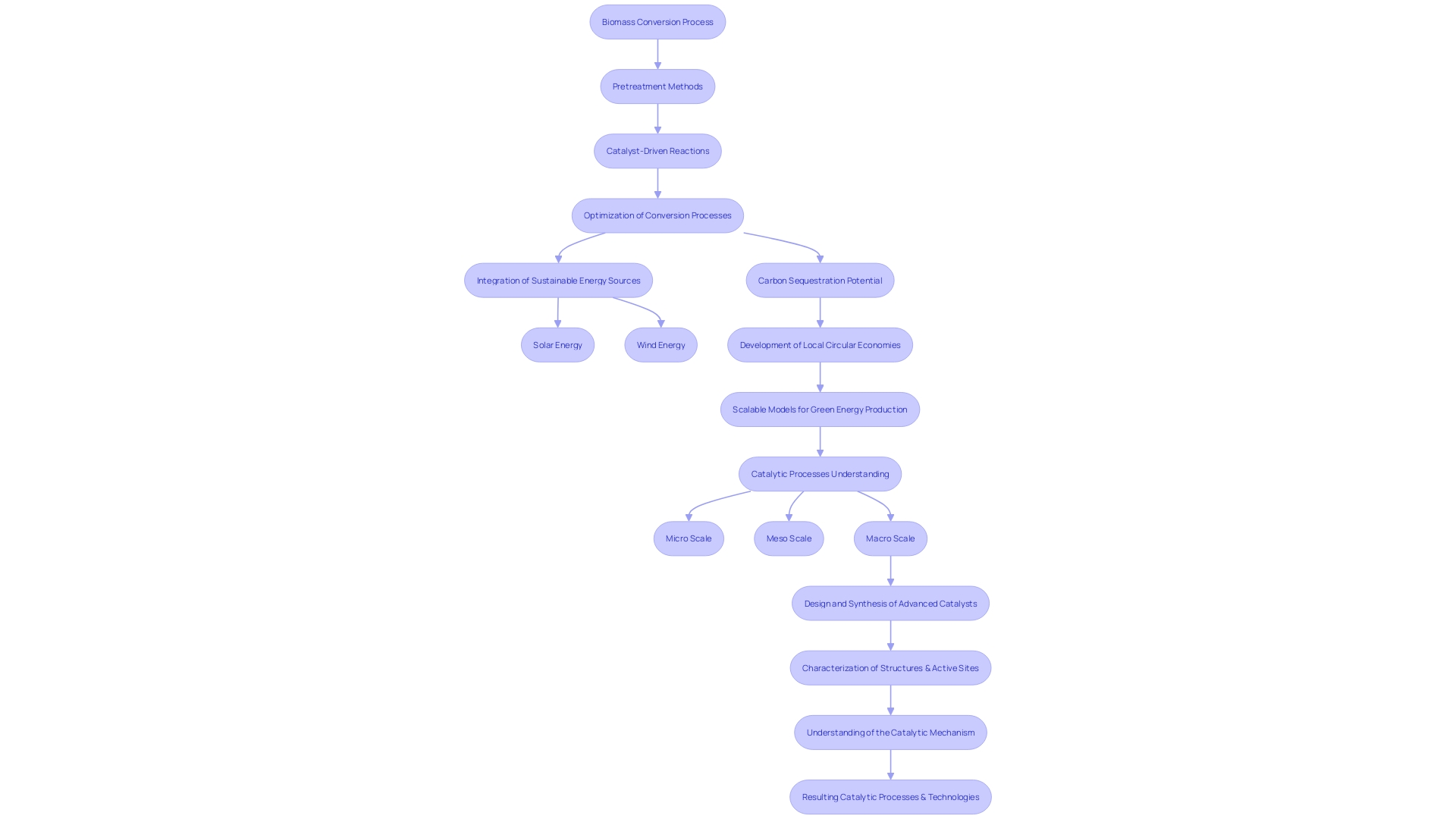 Flowchart illustrating the process of biomass conversion into energy