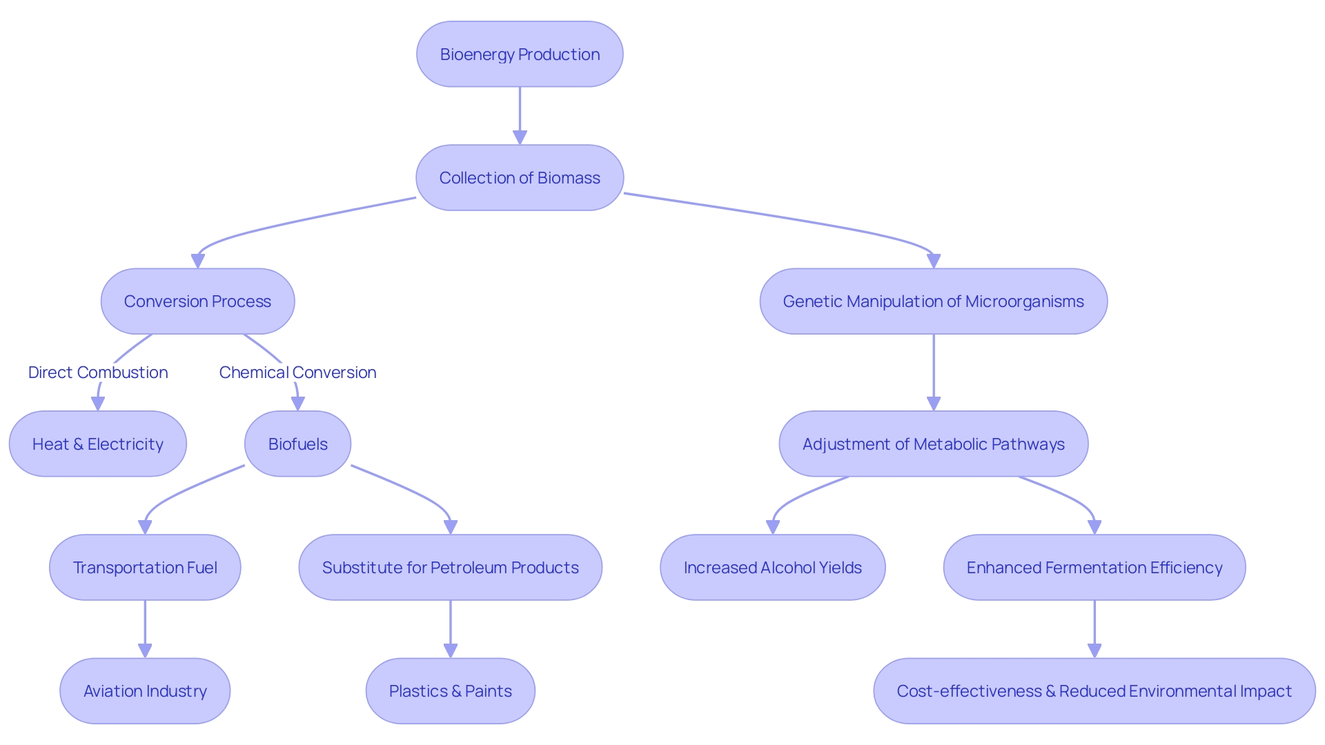 Flowchart illustrating the process of metabolic engineering for biofuel production