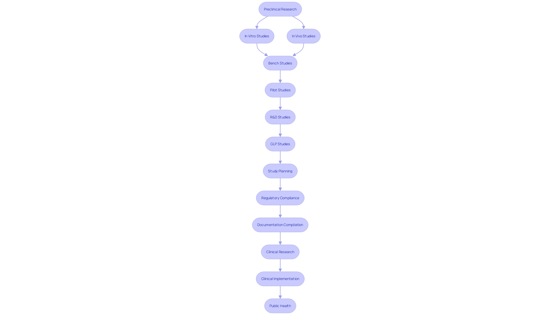 Flowchart illustrating the process of preclinical research for medication development