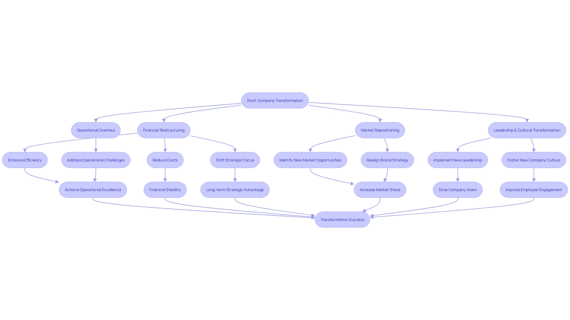 Flowchart illustrating the steps of a company transformation plan