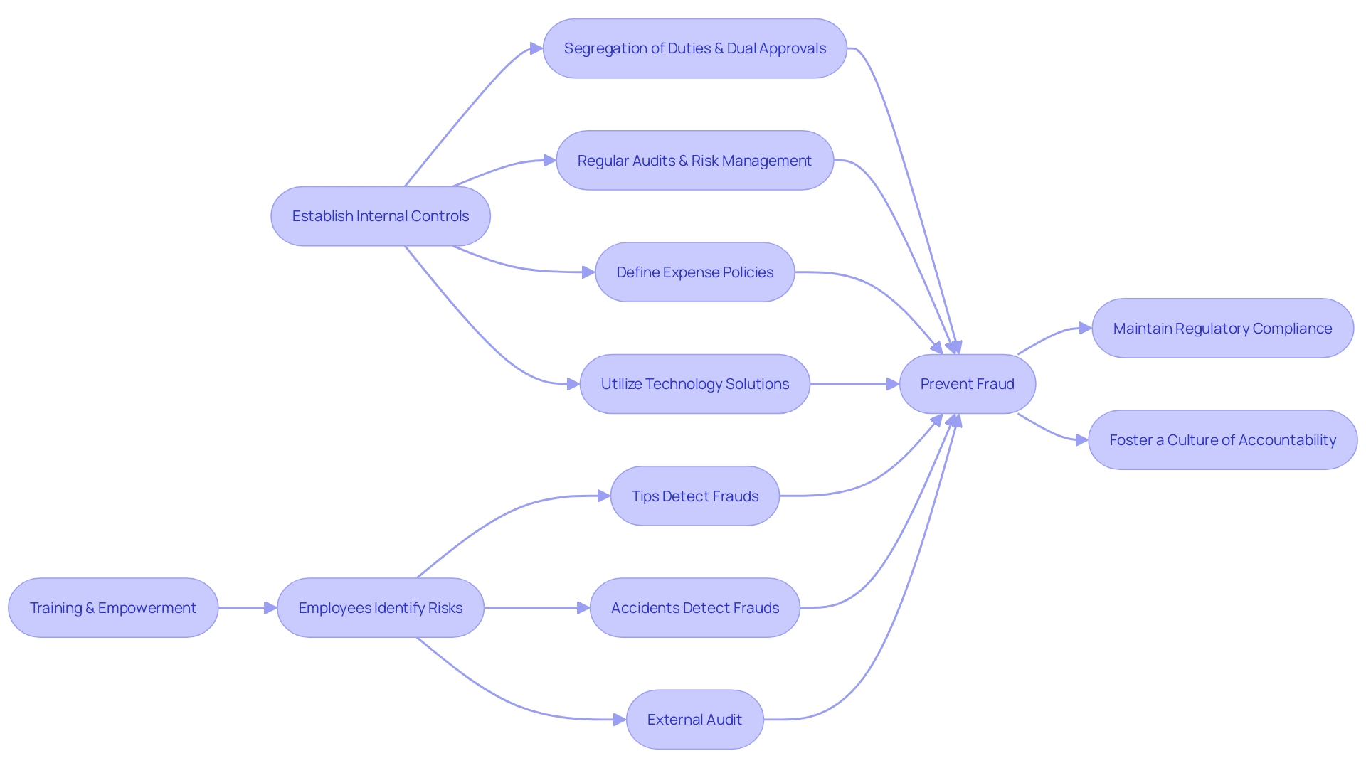 Flowchart: Internal Controls and Audits in the Fight Against Fraud