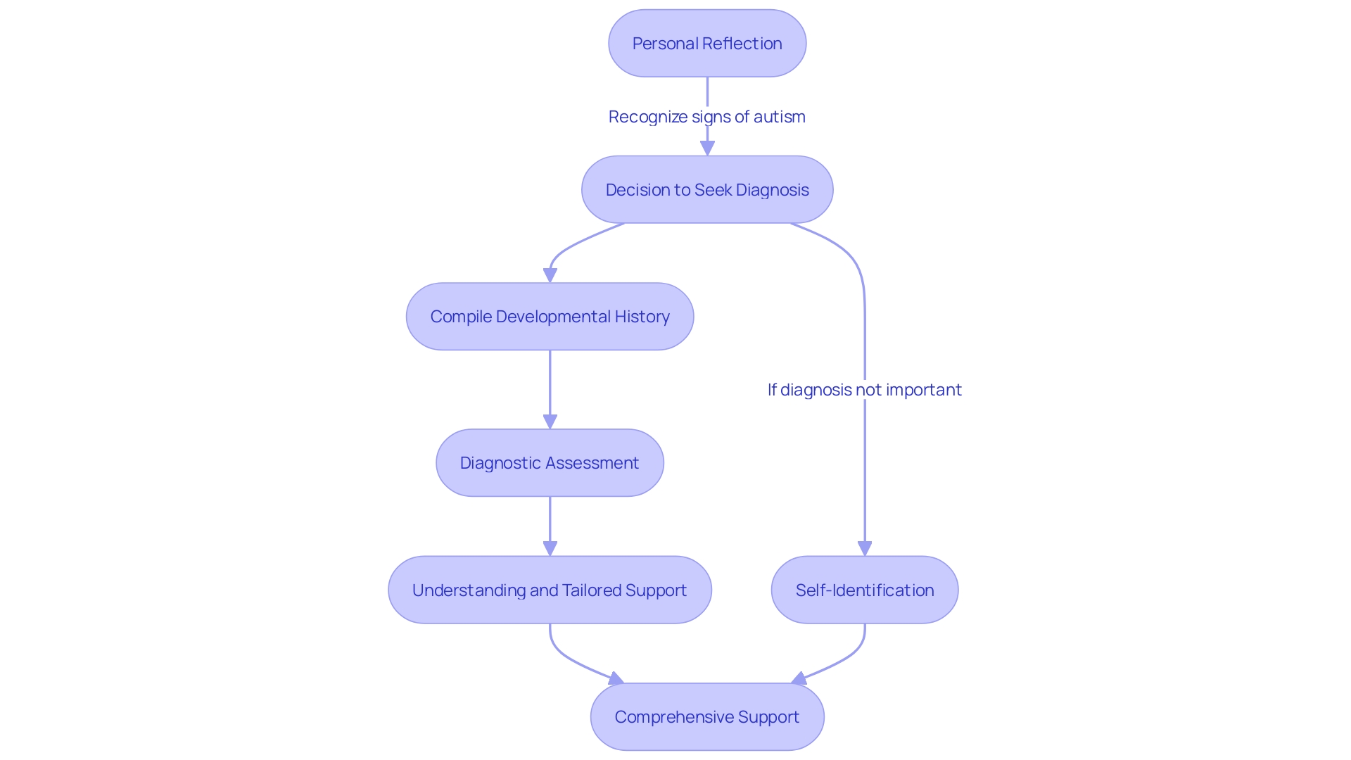 Flowchart: Journey to an Adult Autism Evaluation