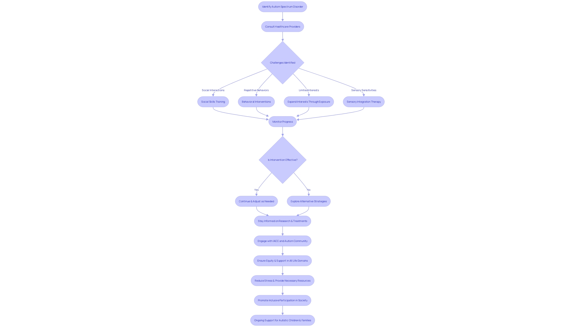 Flowchart: Navigating Stage 2 Autism Intervention and Assistance