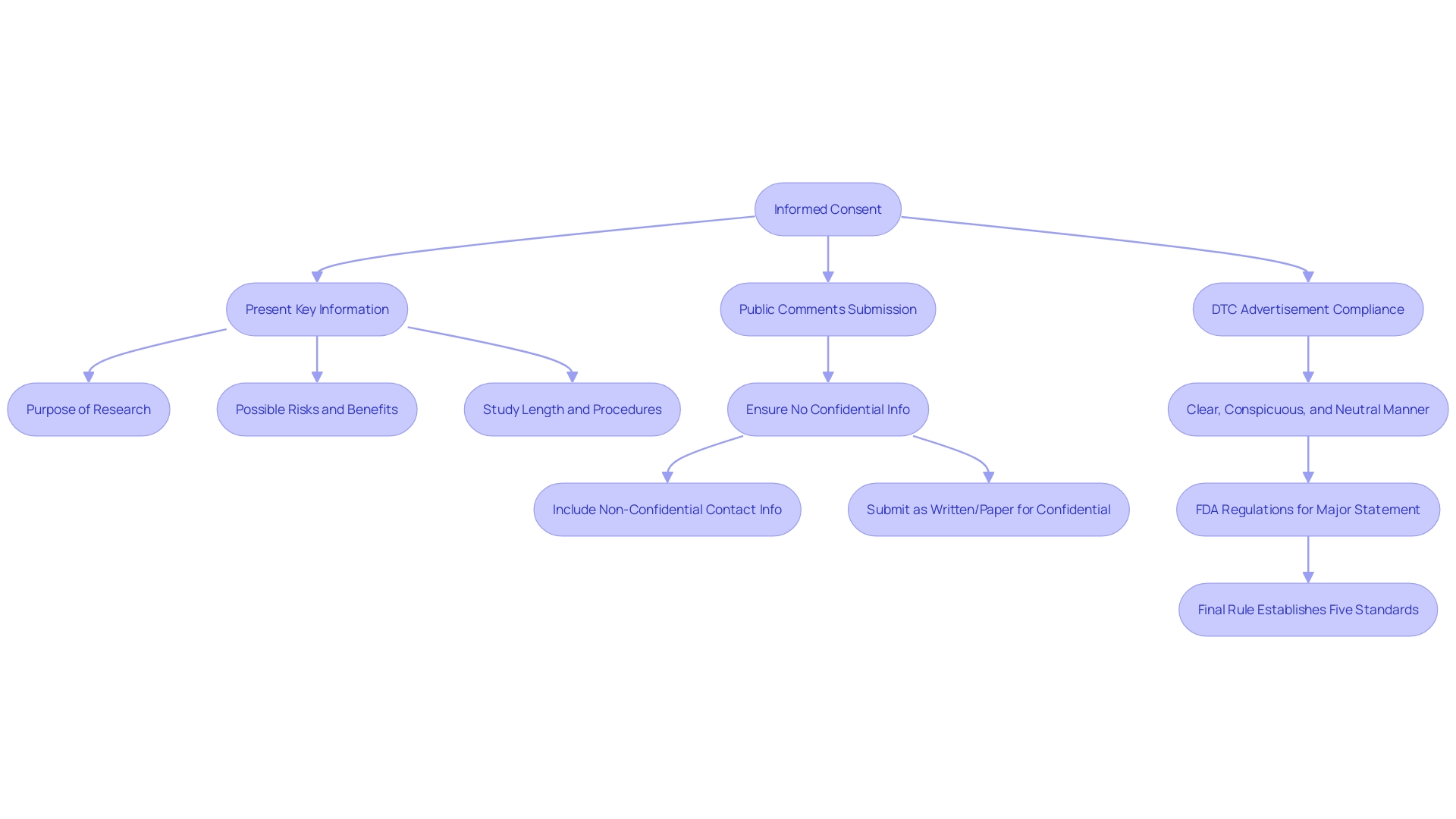 Flowchart: Navigating the ANDA and FDA Approval Processes