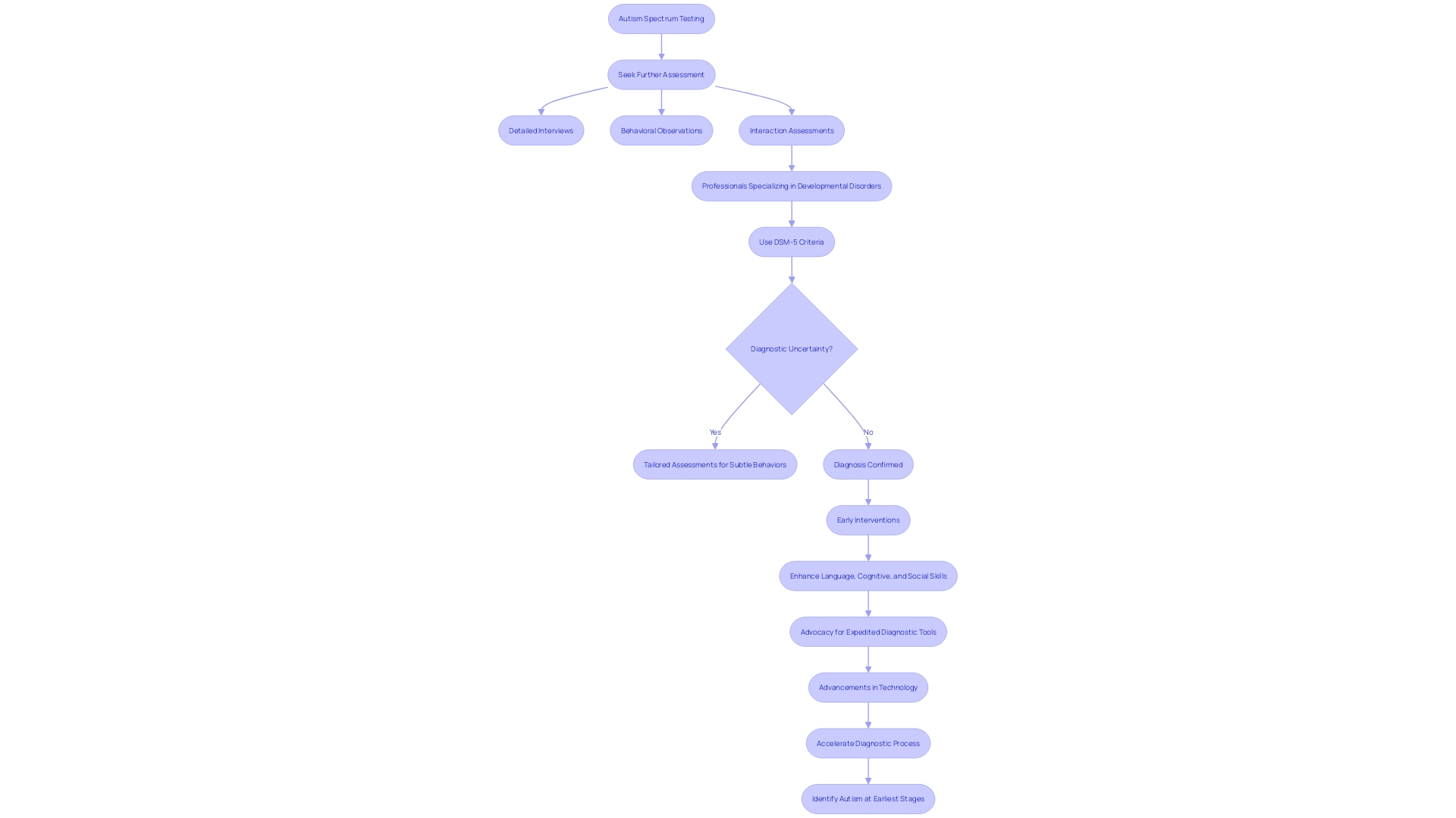 Flowchart: Navigating the Autism Spectrum Testing Journey