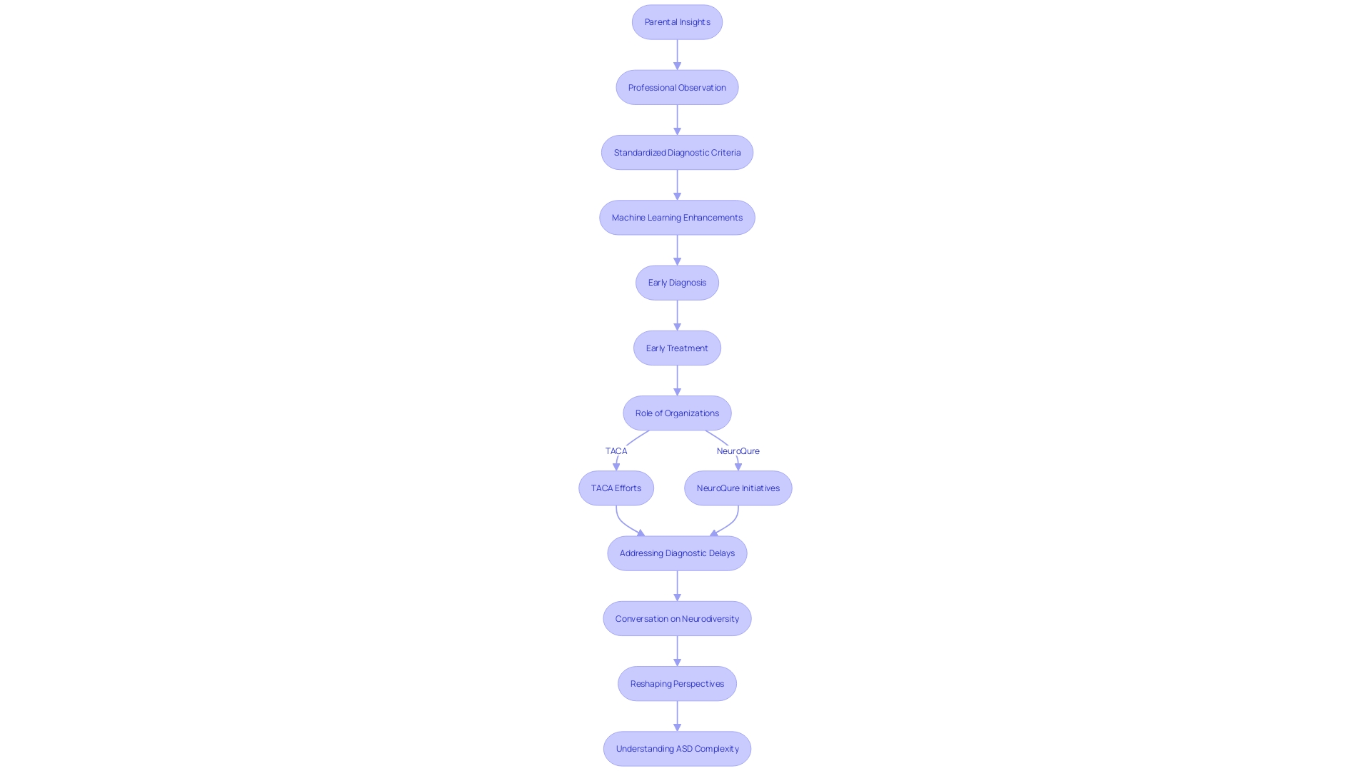 Flowchart: Navigating the Complexity of Autism Spectrum Disorder Diagnosis