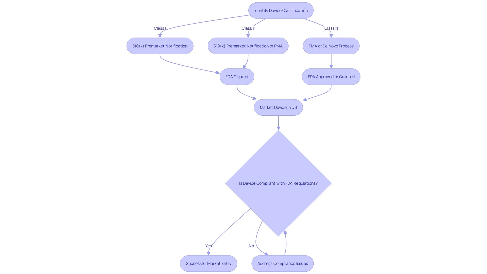 Flowchart: Navigating the FDA's Pre-Market Approval (PMA) Process