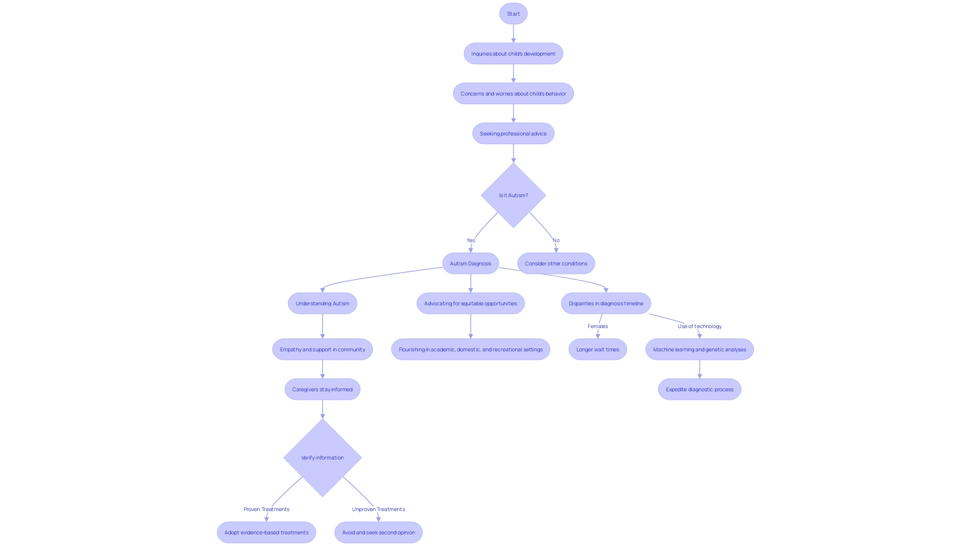 Flowchart: Navigating the Journey to an Autism Diagnosis